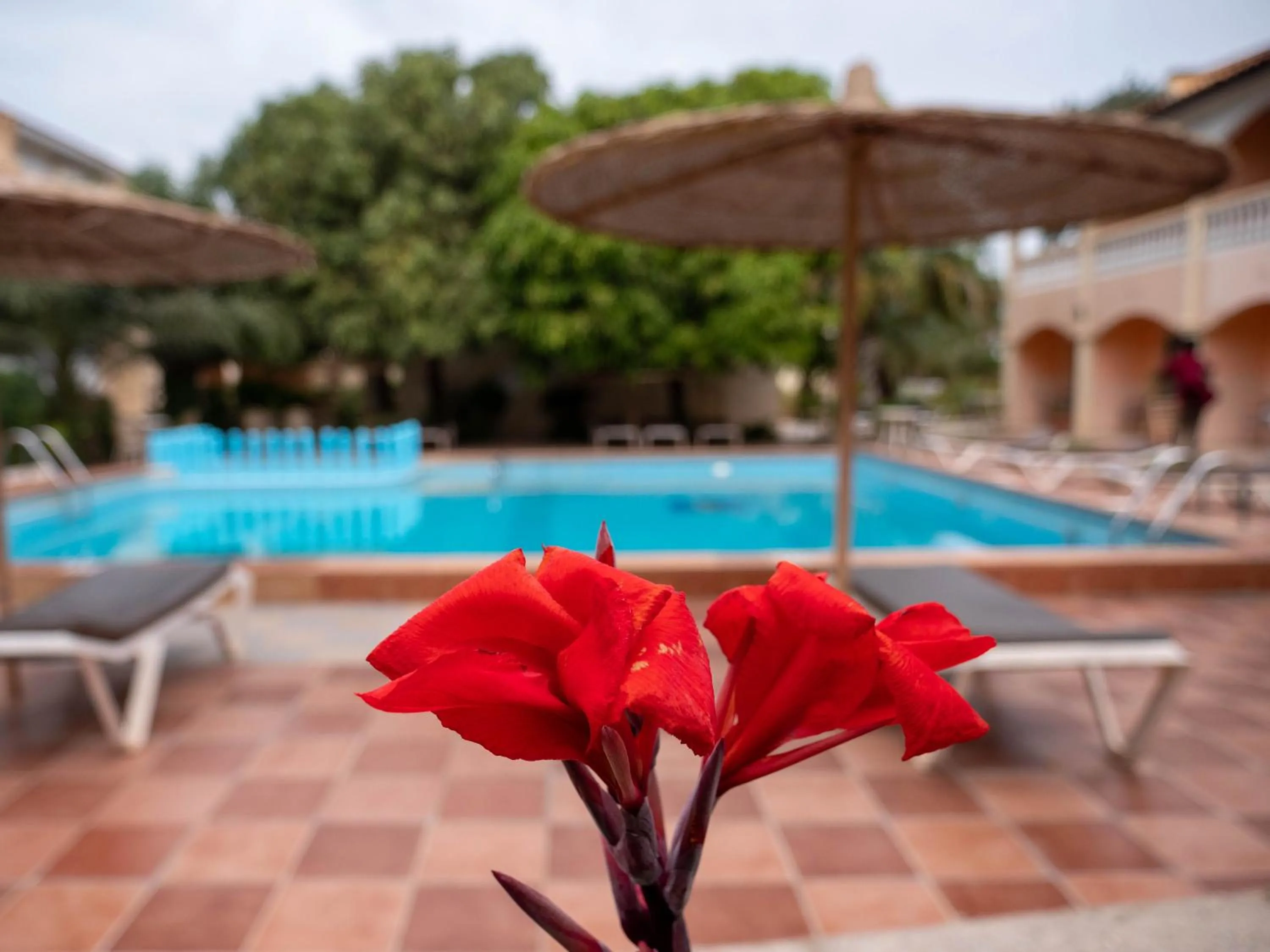 Garden in Cape Point Hotel