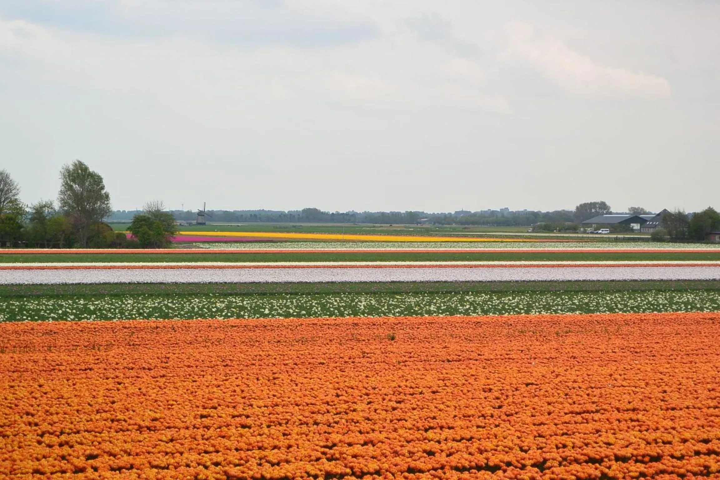 Natural landscape in Strandhotel Golfzang