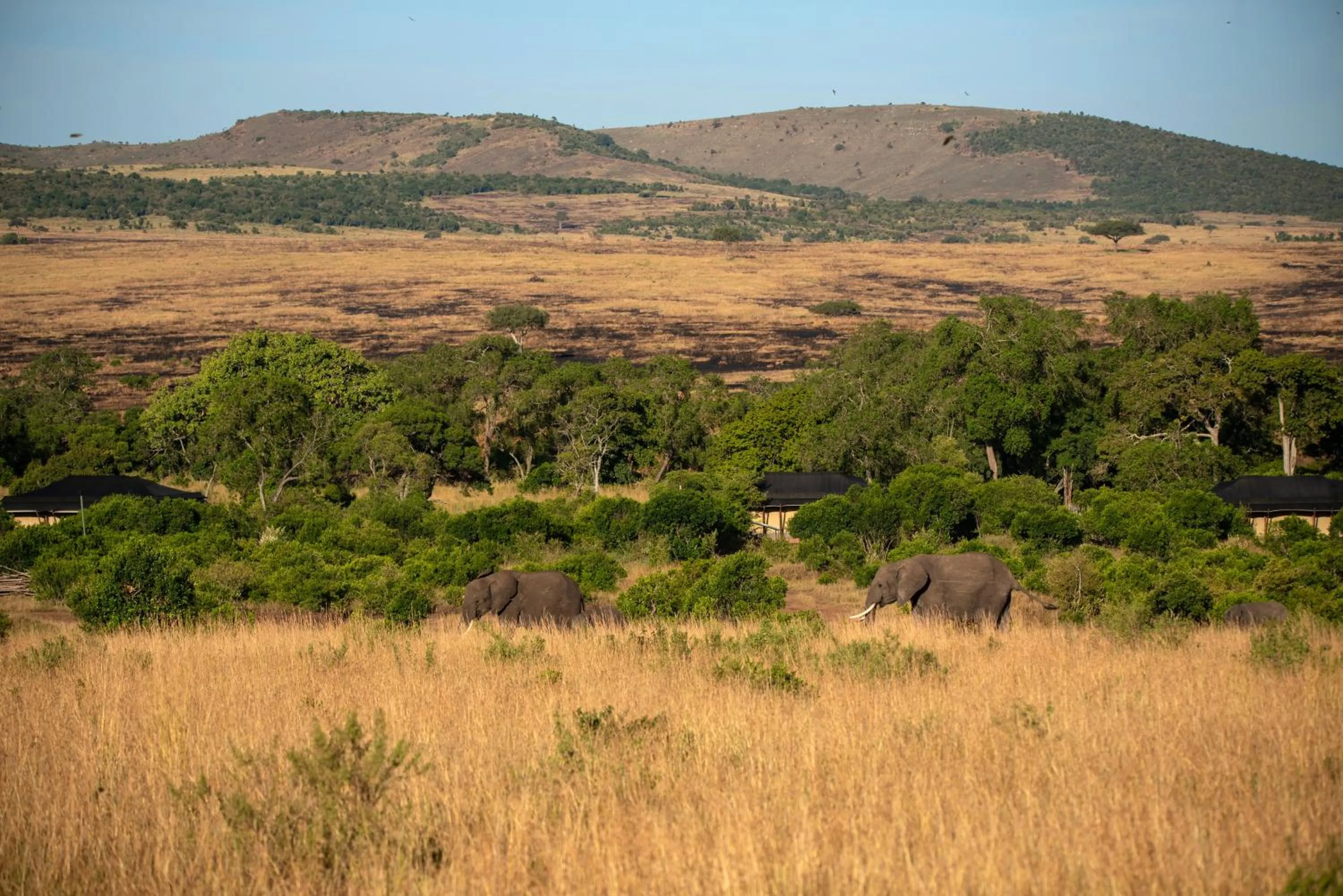 Natural landscape in Elewana Sand River Mara
