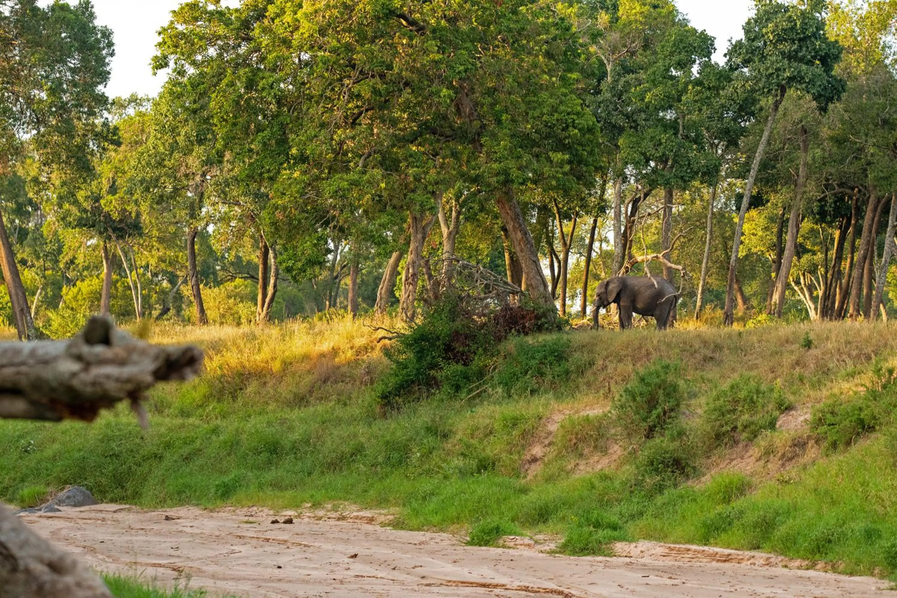 Natural landscape in Elewana Sand River Mara