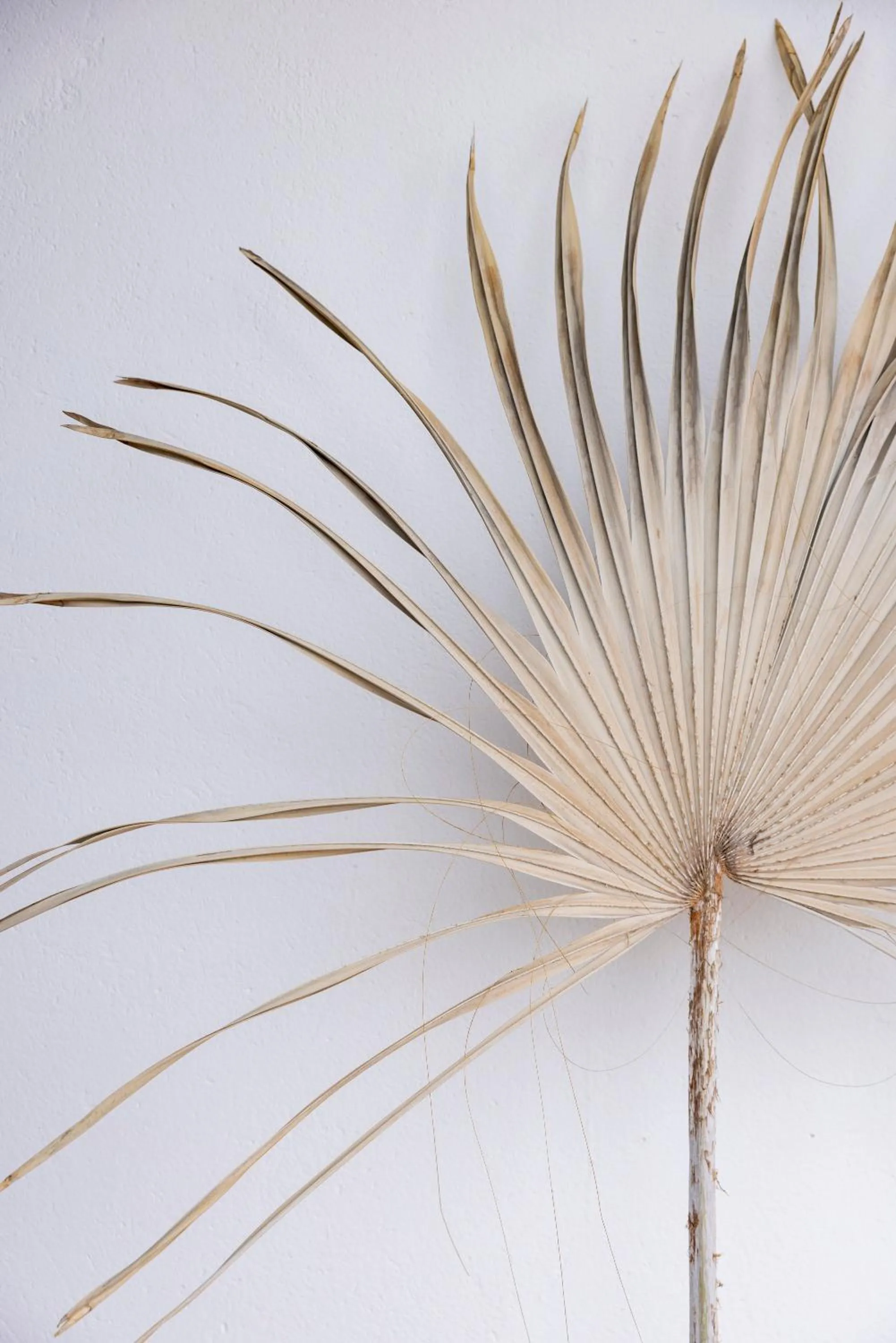 Facade/entrance in KA BRU 1100 Boutique Hotel