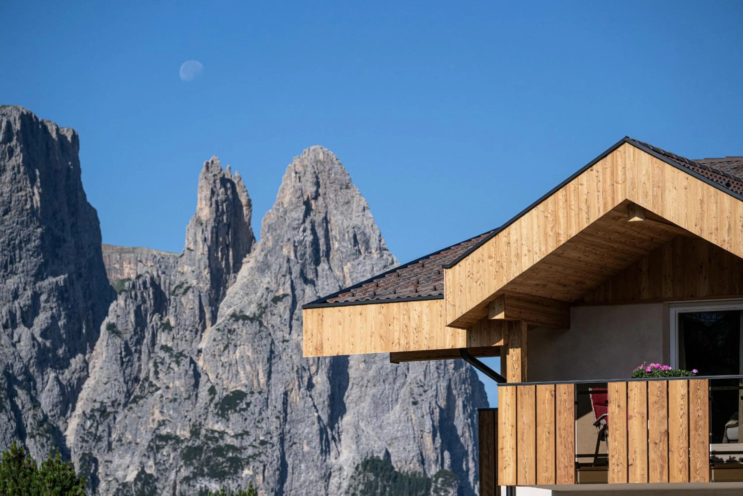 Natural landscape in Hotel Rosa Eco Alpine Spa