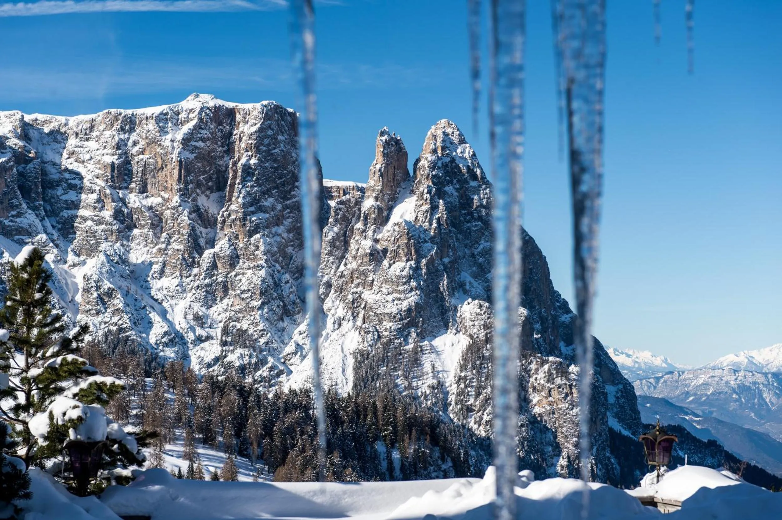 Natural landscape in Hotel Rosa Eco Alpine Spa