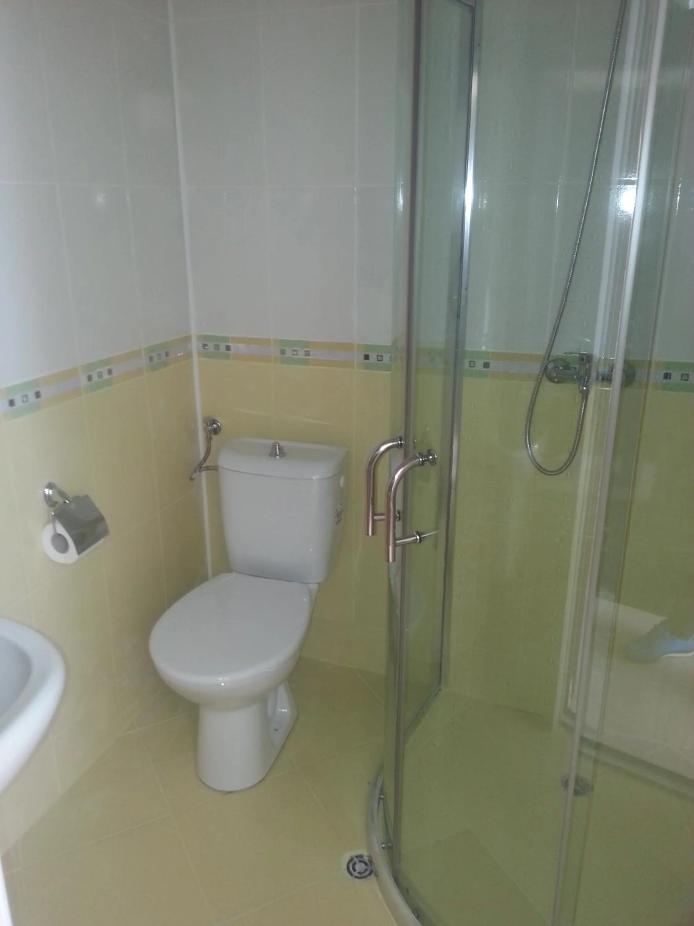 Shower in Hotel Ray