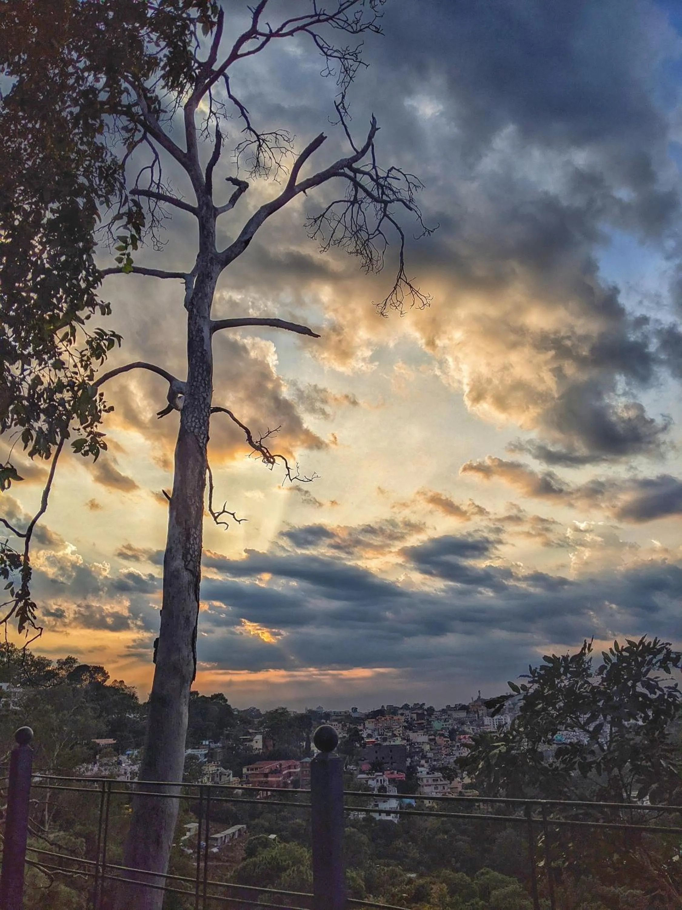 Natural landscape in Seclude Nahan, Bantony Cottage