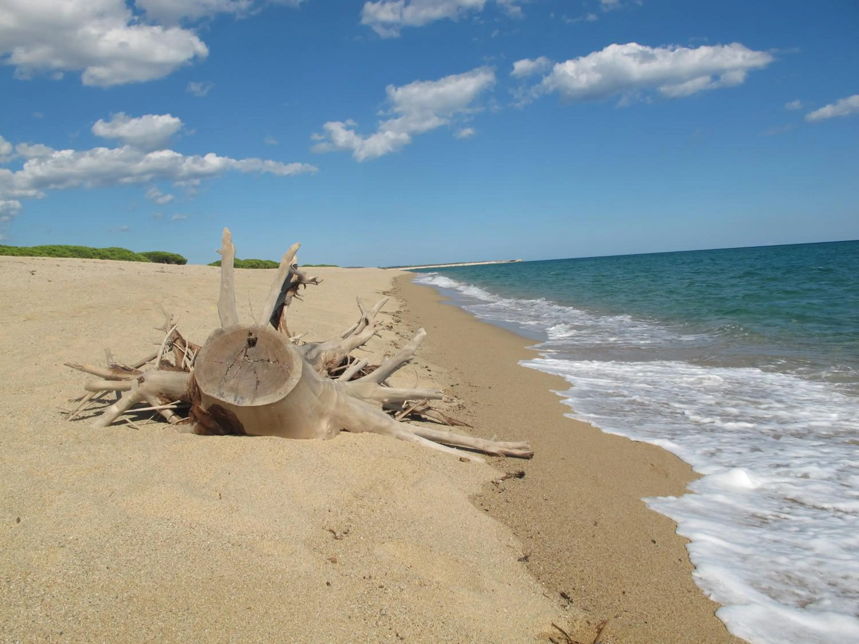 Day in Hotel Baia Marina