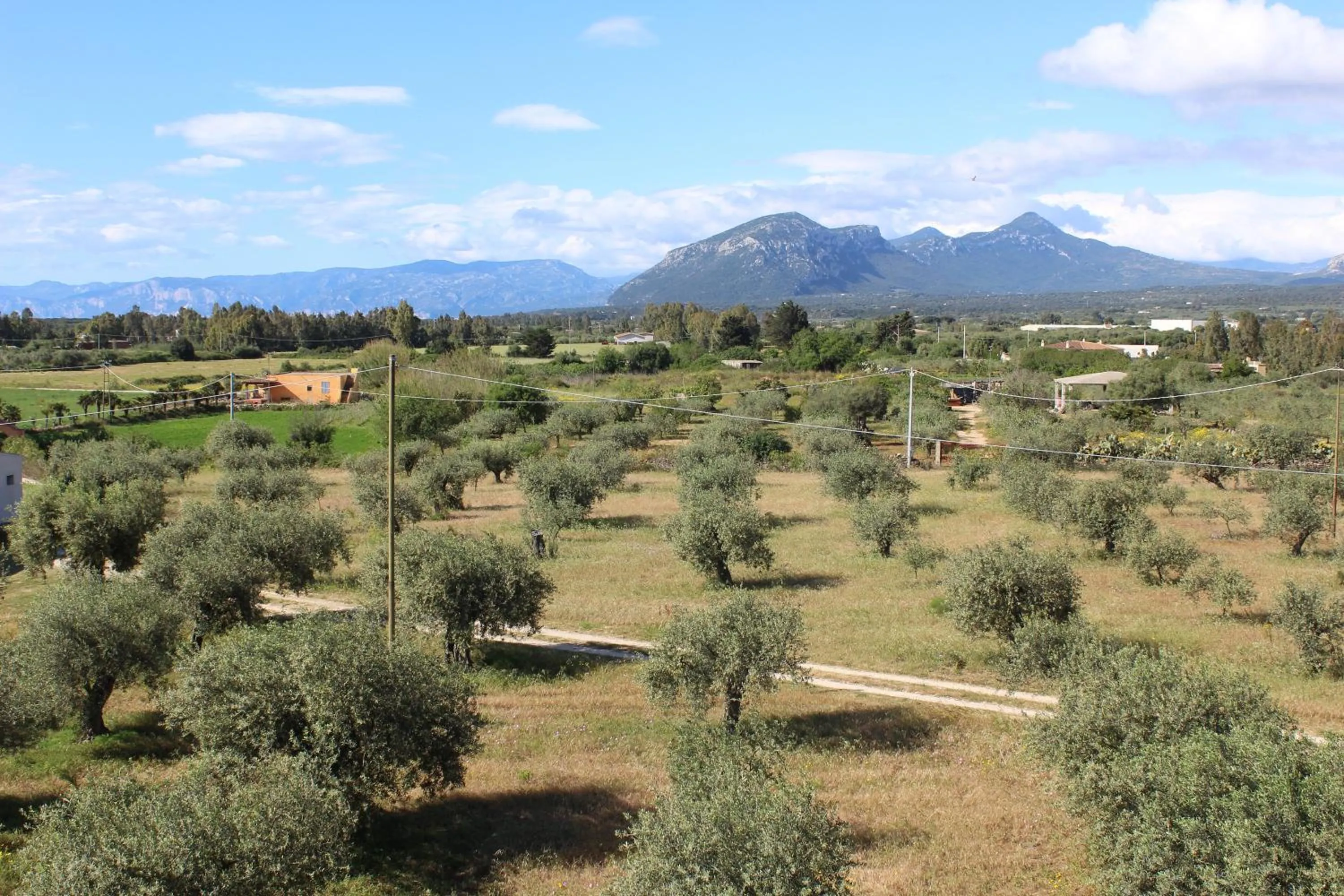 View (from property/room) in Hotel Baia Marina