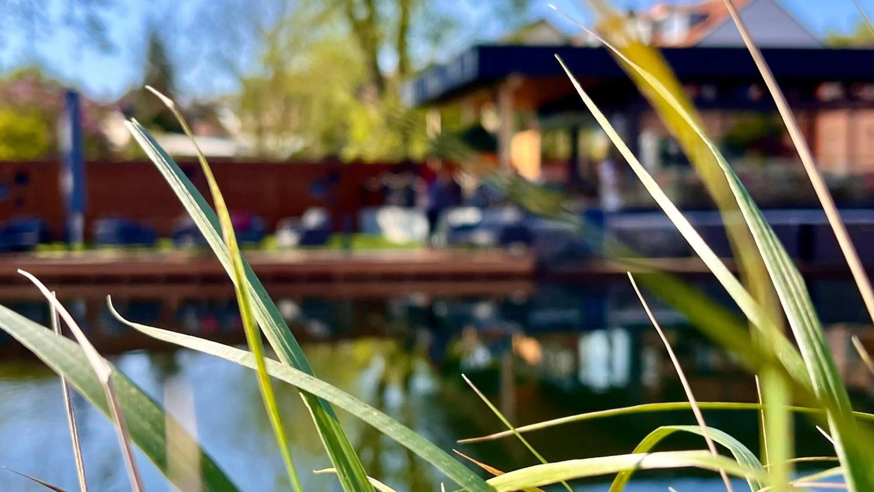 Restaurant/places to eat in Hotel & Restaurant Fackelgarten Plau am See