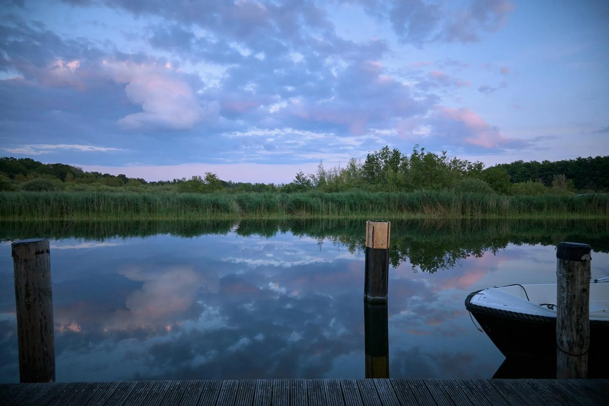 Area and facilities in Hotel & Restaurant Fackelgarten Plau am See