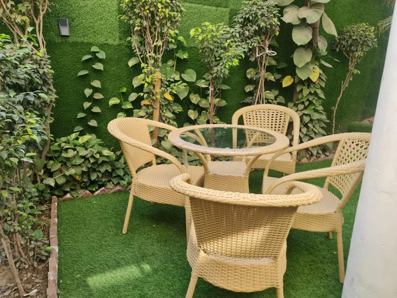 Garden in City View With Garden -5 Mins Walk From GOLDEN TEMPLE