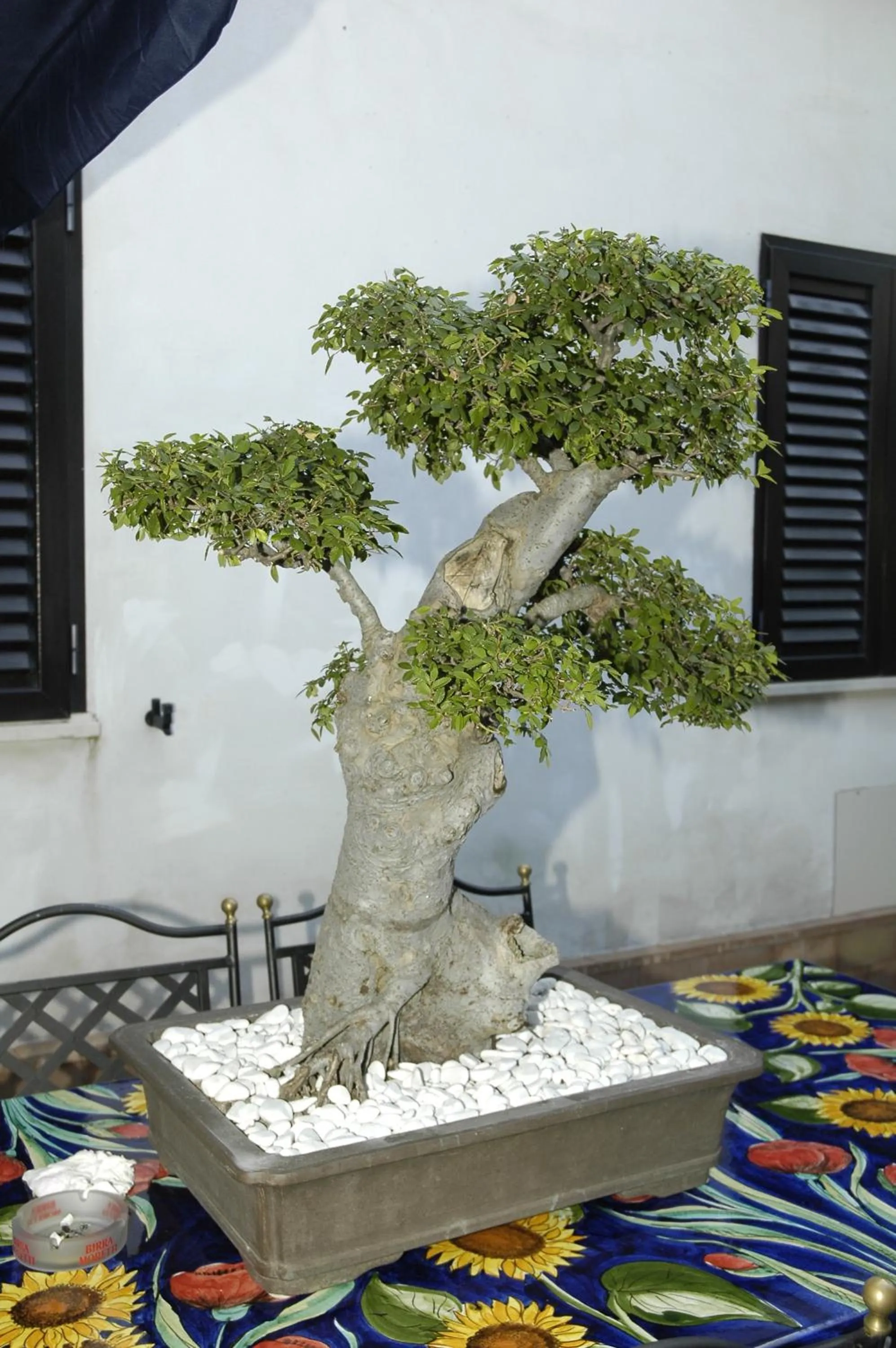 Decorative detail in Hotel Blumentag