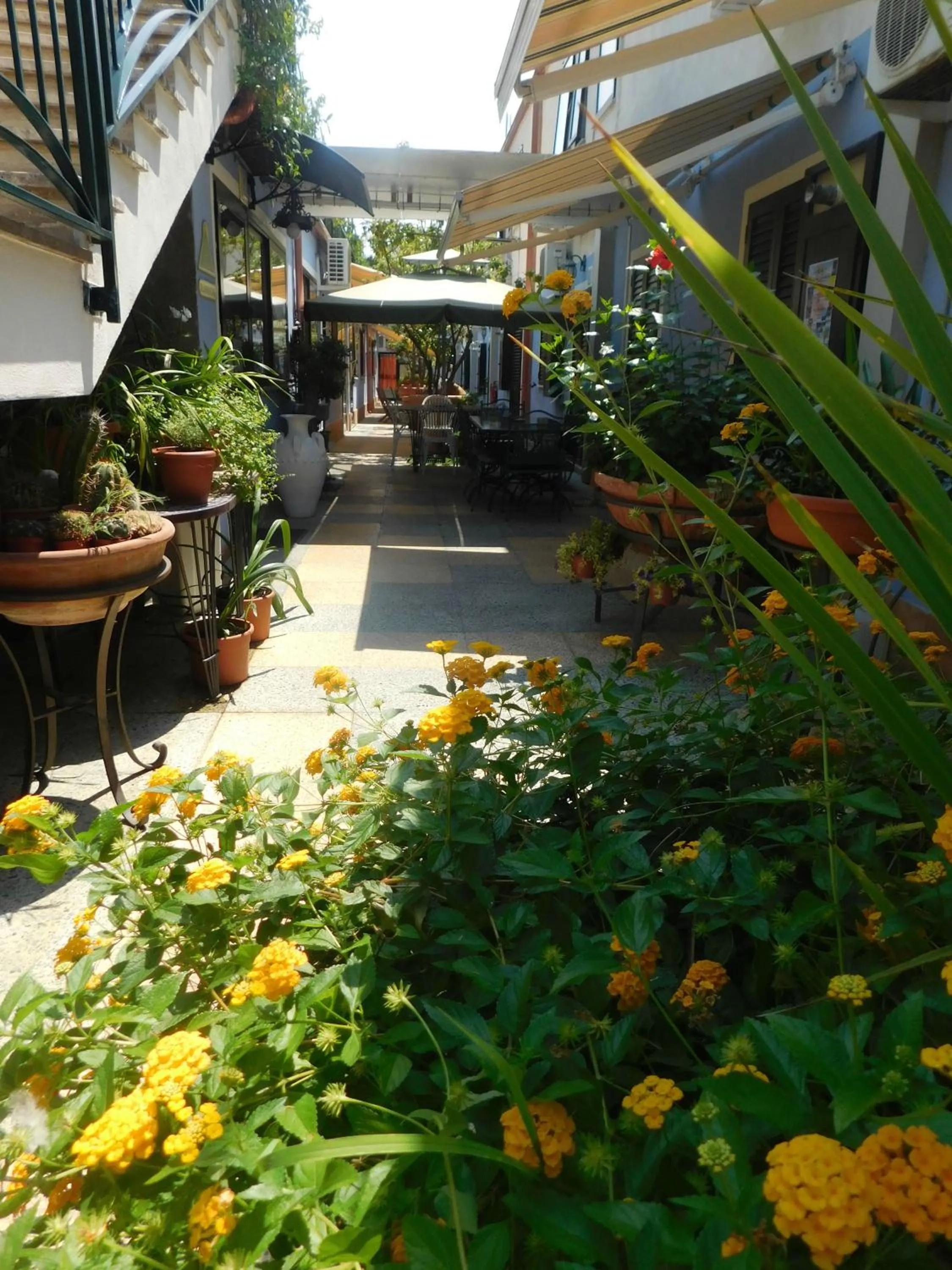 Garden in Hotel Blumentag
