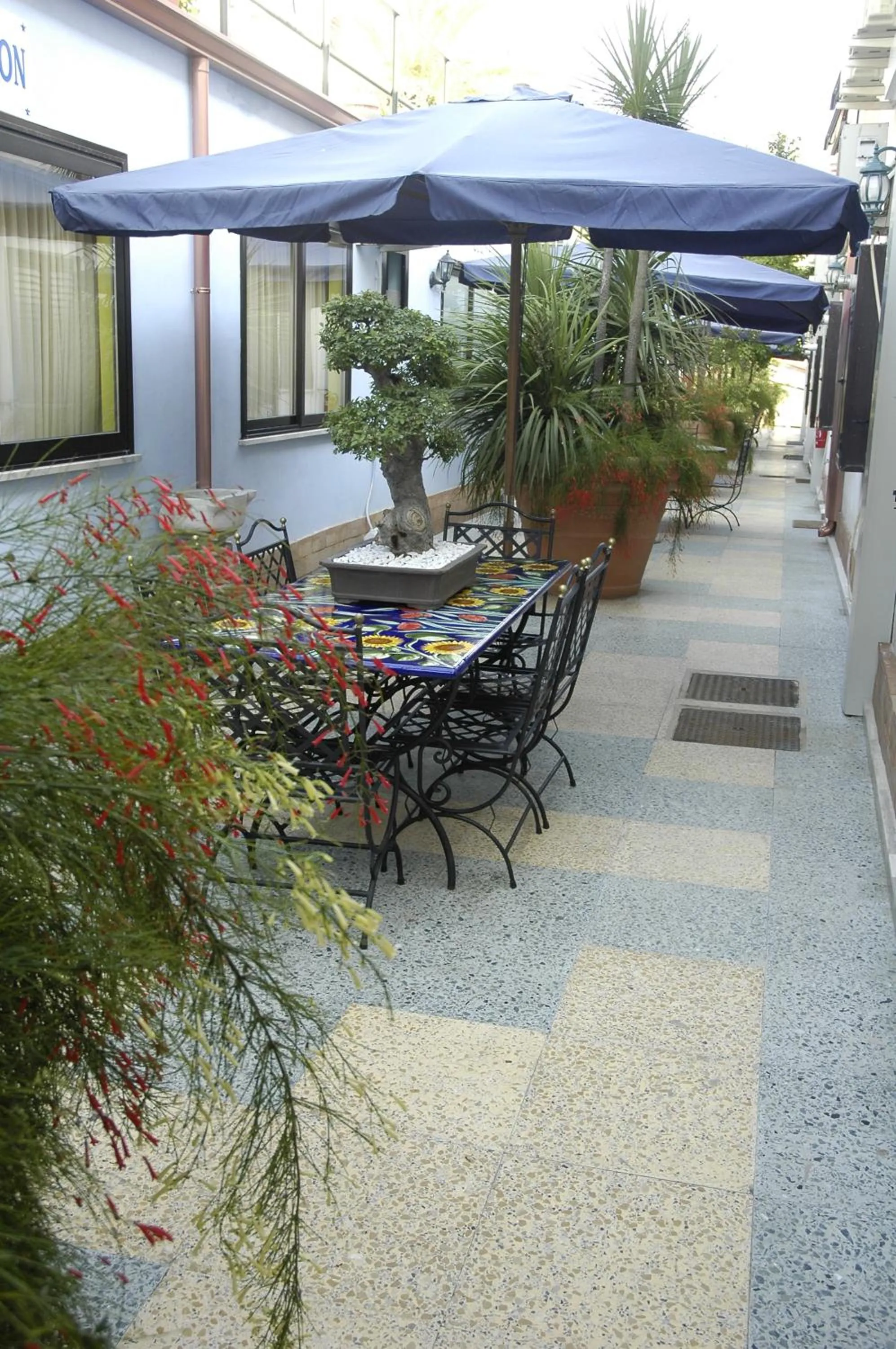 Balcony/Terrace in Hotel Blumentag