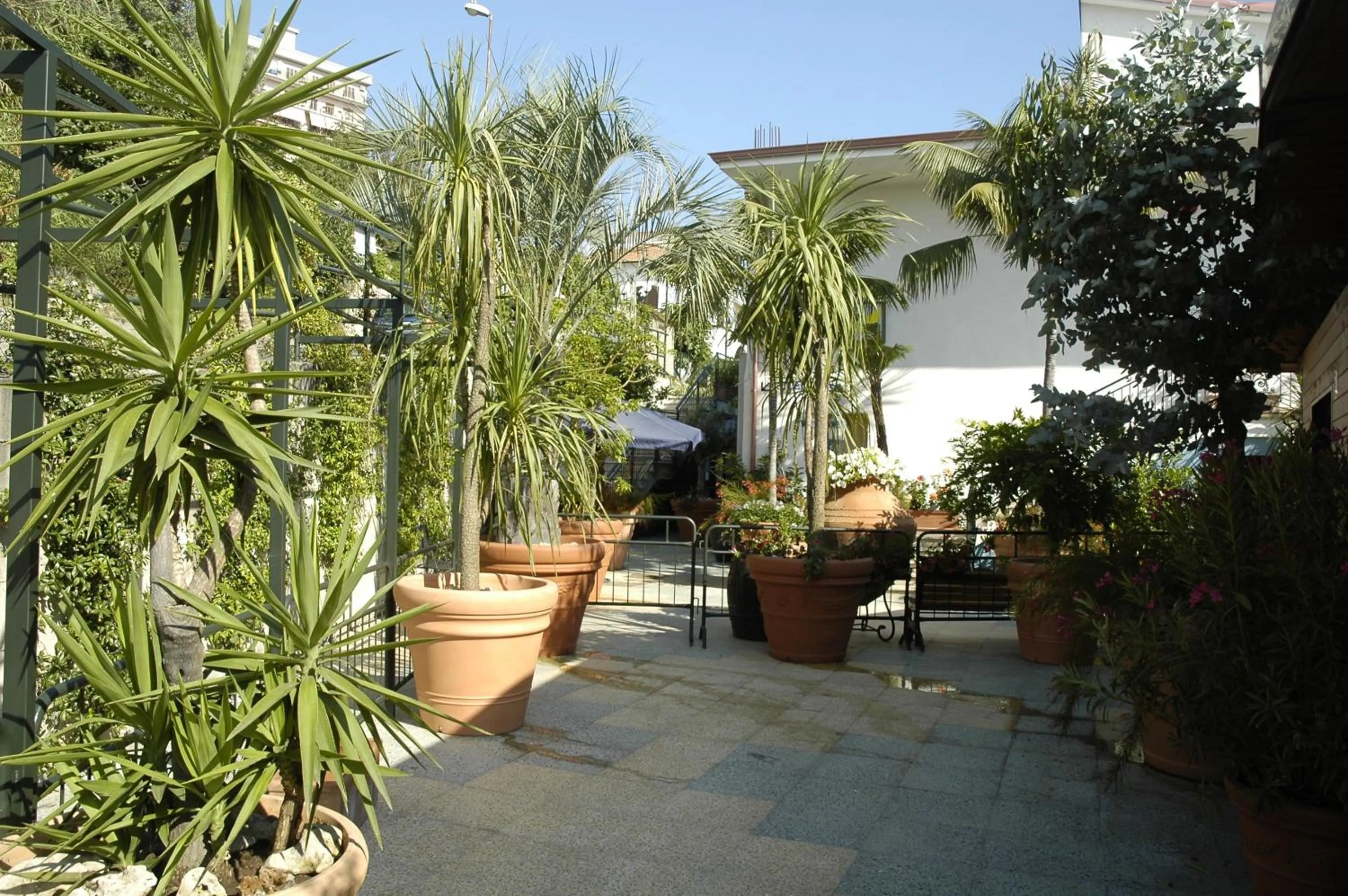 Other in Hotel Blumentag