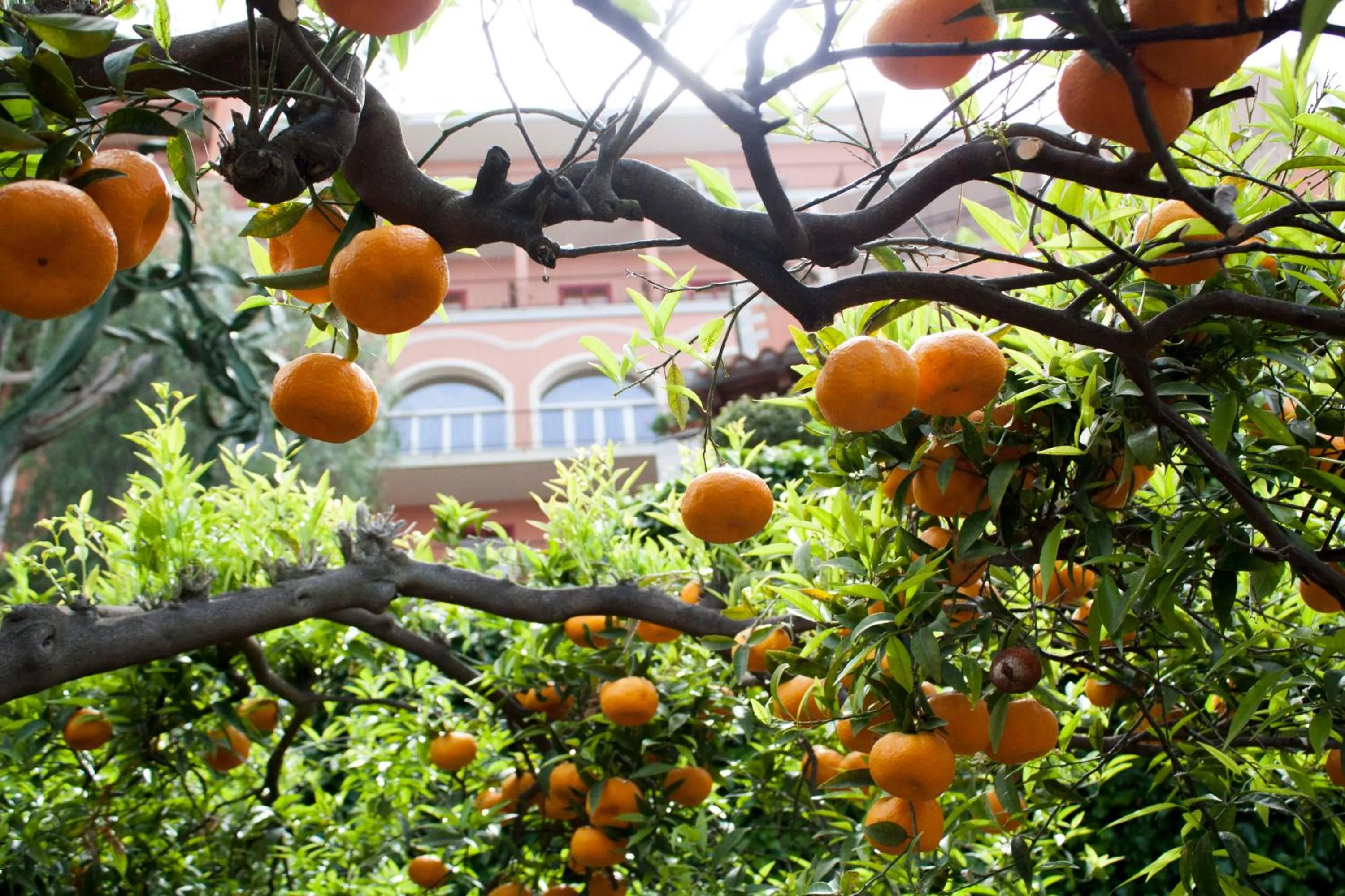 Photo of the whole room in Grand Hotel Miramare