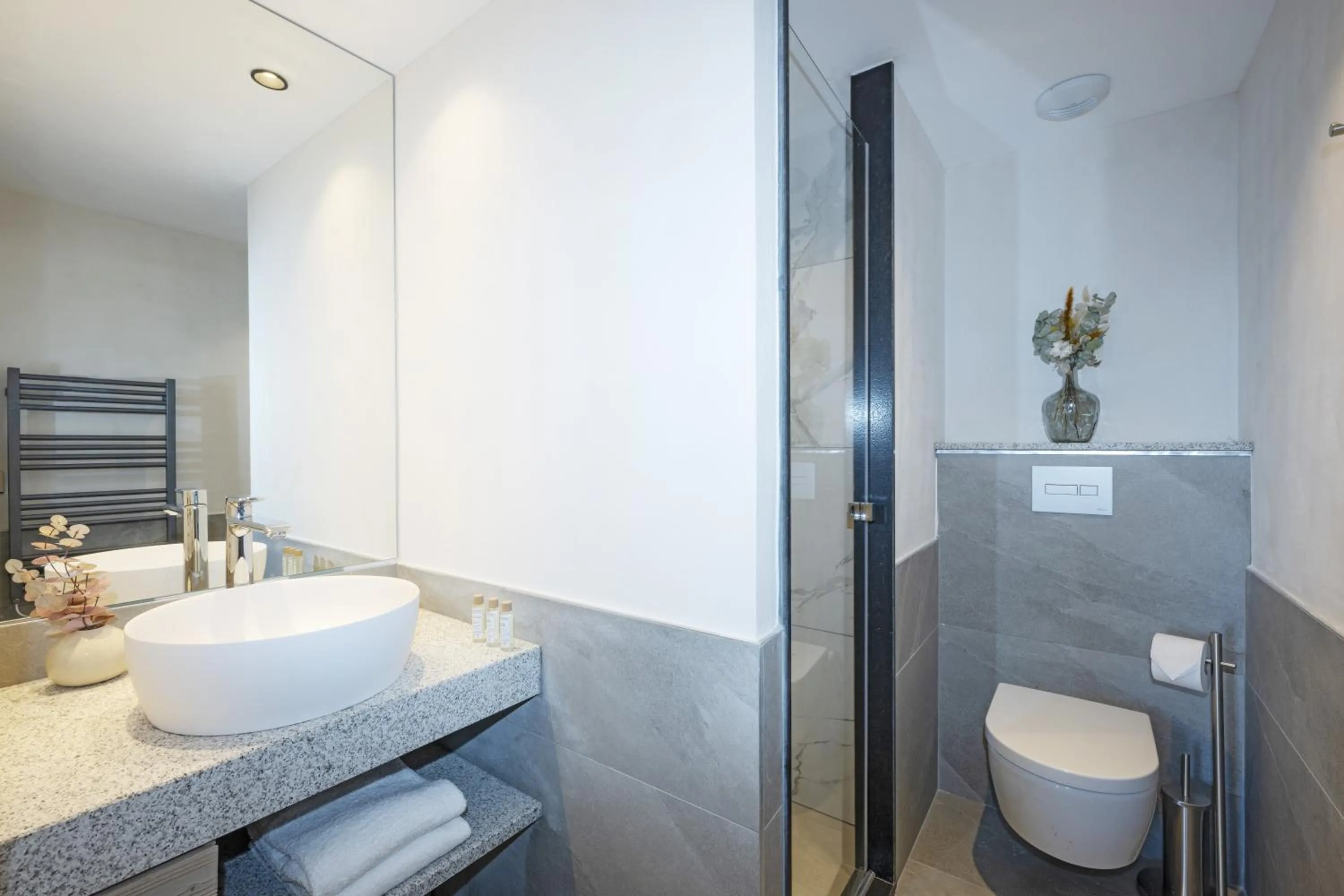 Toilet in MGM Hôtels & Résidences - Résidence Chalets de Joy