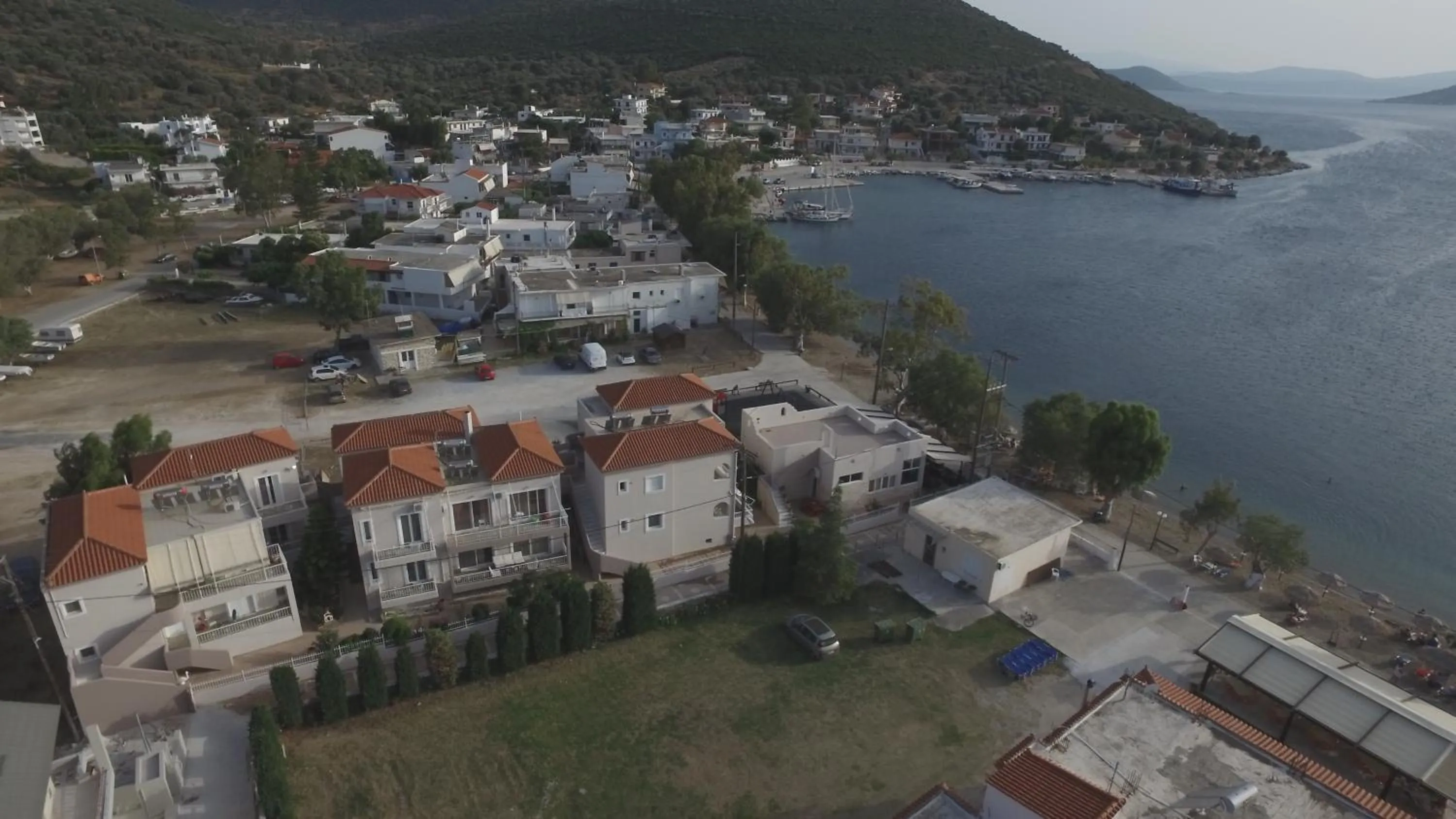 Bird's eye view in Korali