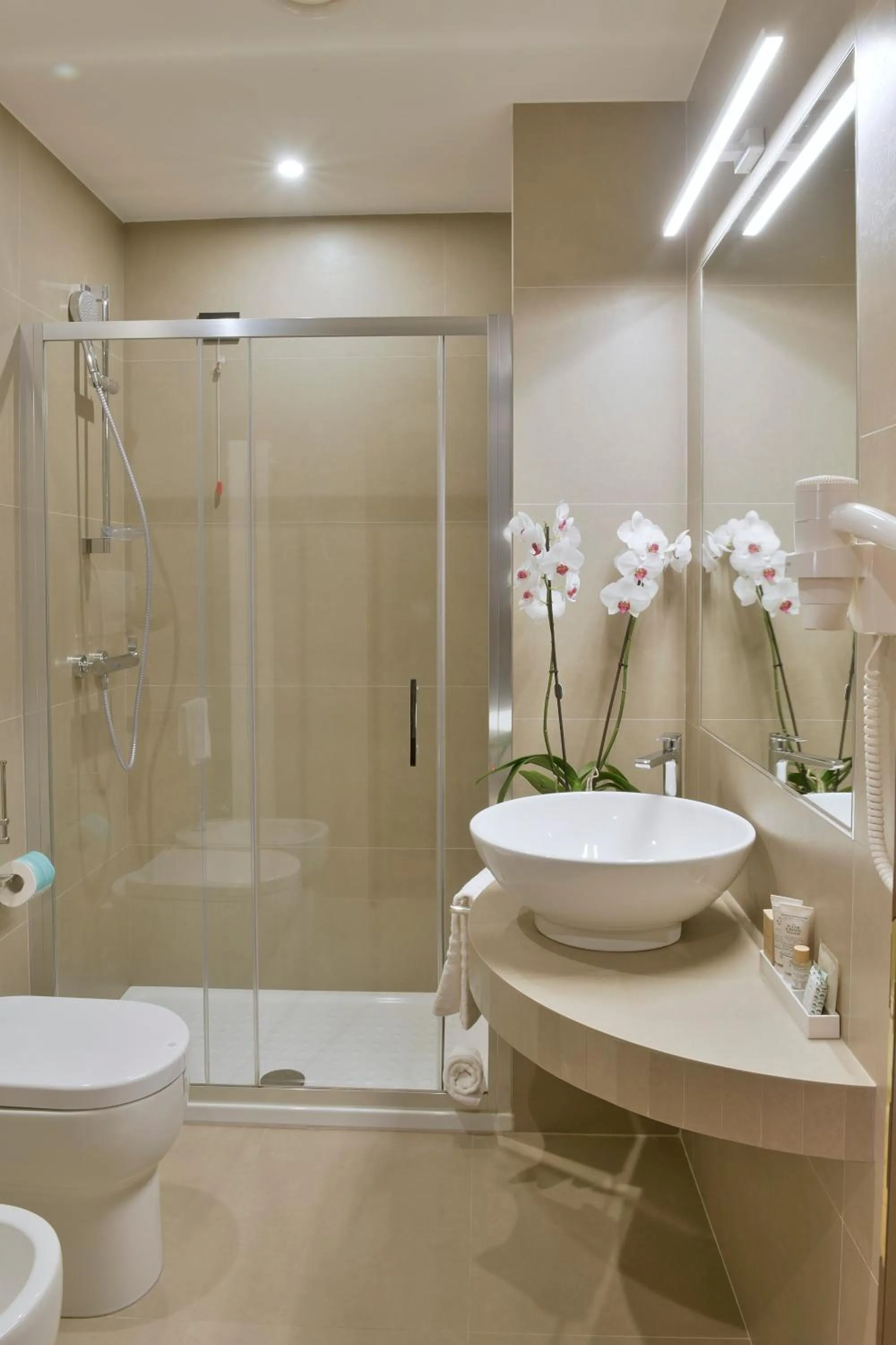 Shower in Hotel Torresi