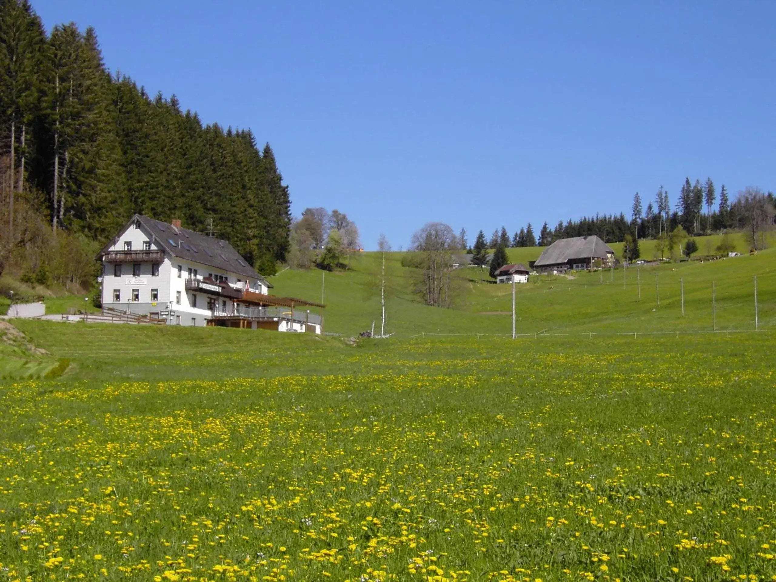 Gasthaus Pension Donishäusle Gasthaus Pension Donishäusle