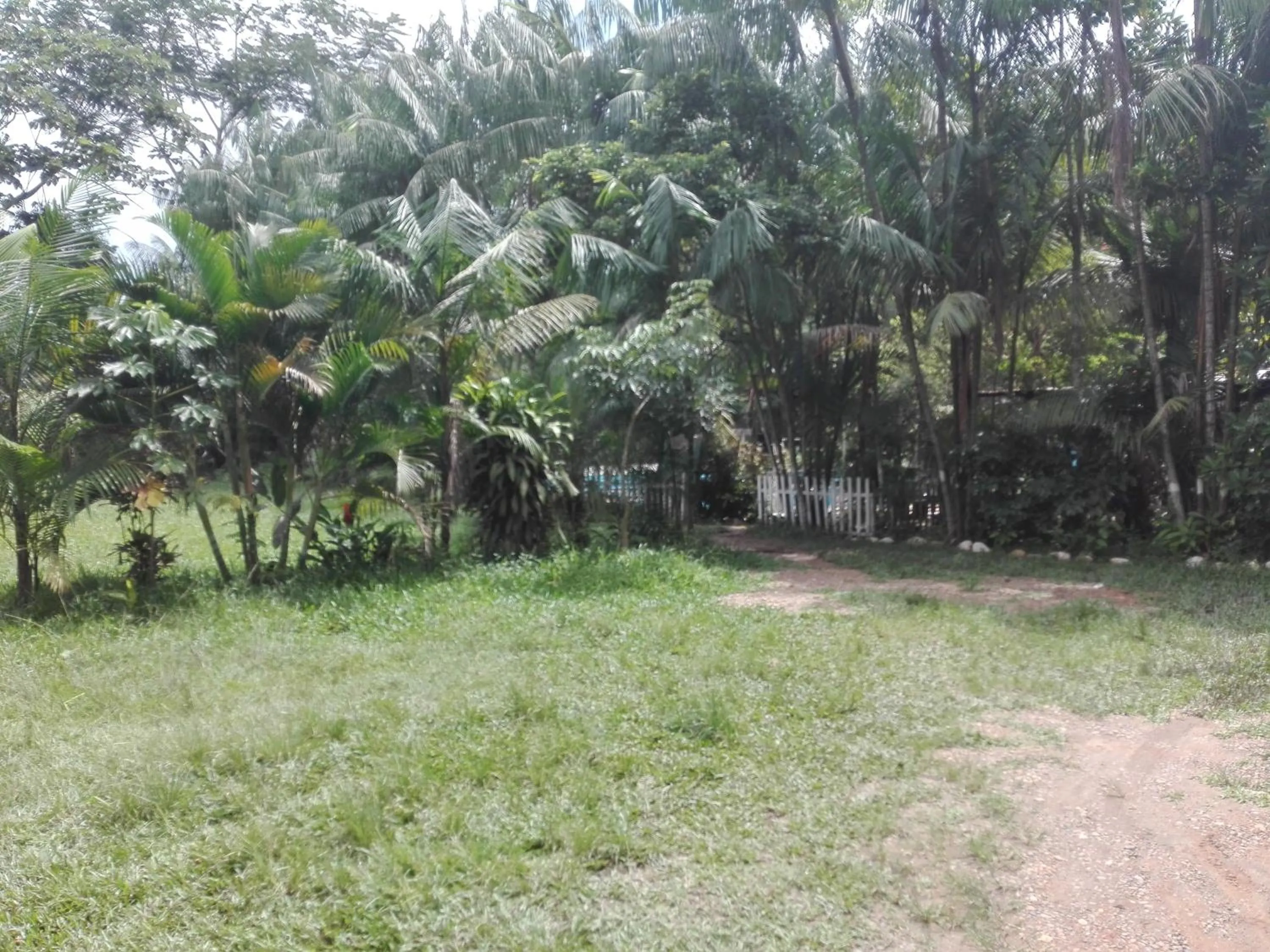View (from property/room) in Villa Hermosa de Tambopata Casa Hospedaje & Hostel
