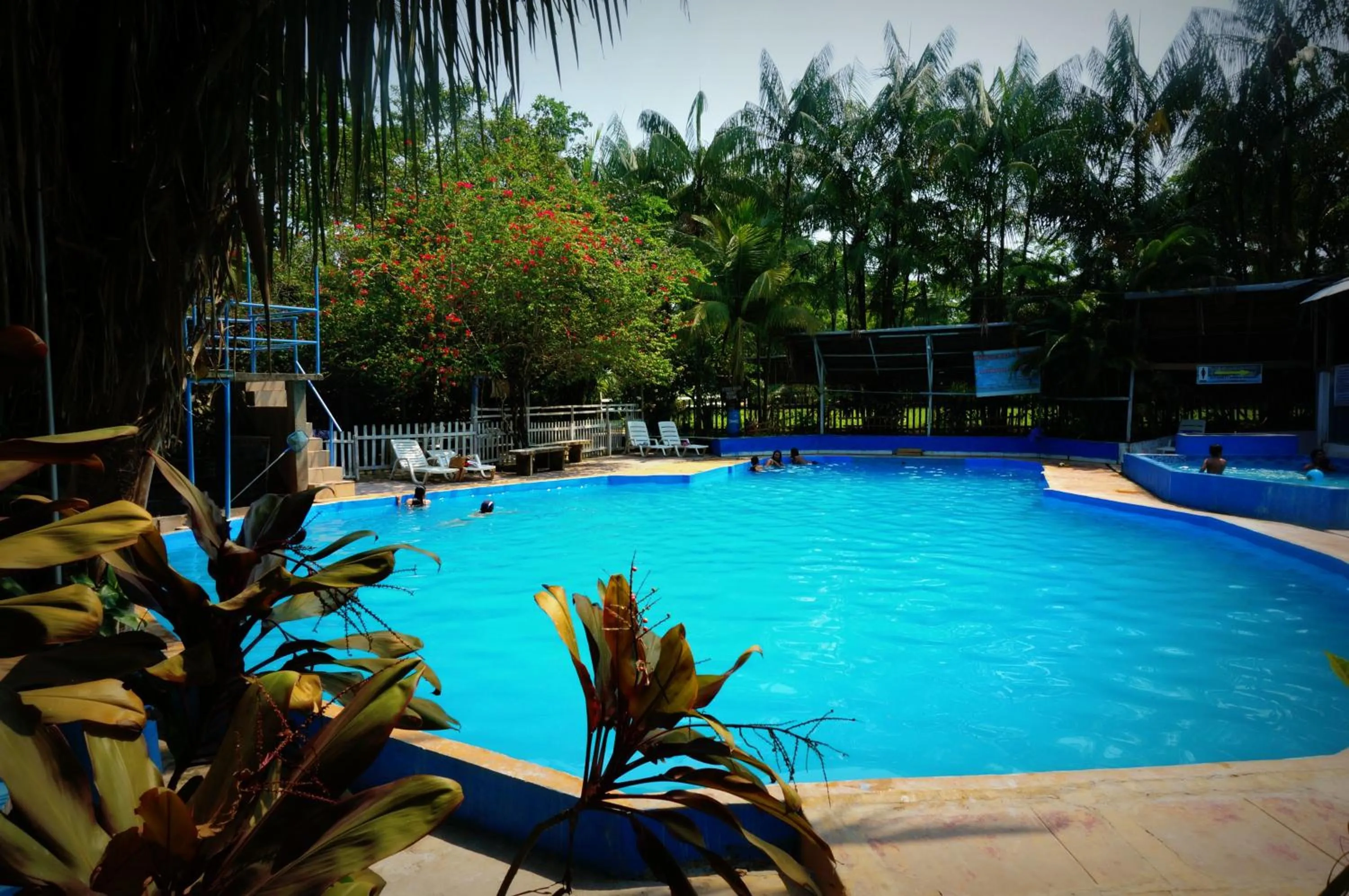 Swimming pool in Villa Hermosa de Tambopata Casa Hospedaje & Hostel