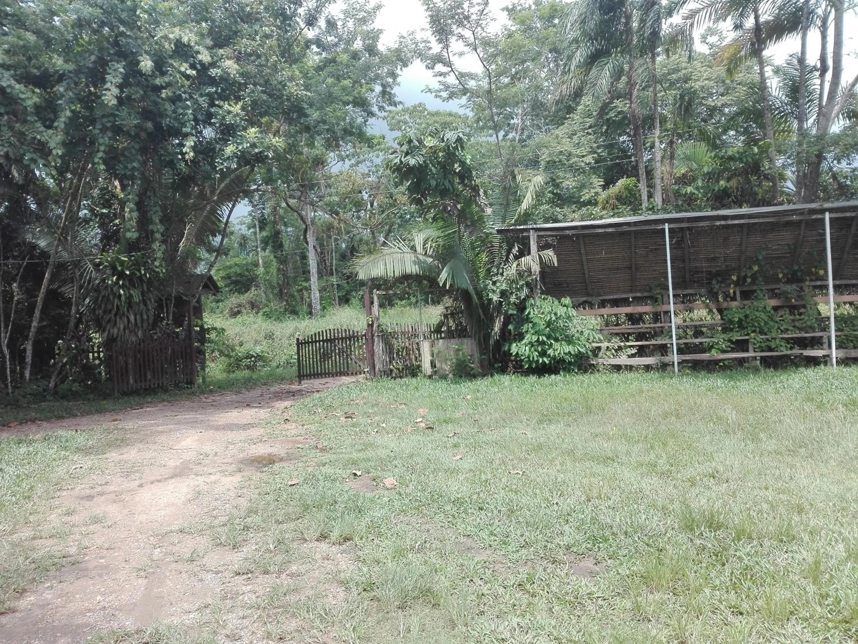 Area and facilities in Villa Hermosa de Tambopata Casa Hospedaje & Hostel