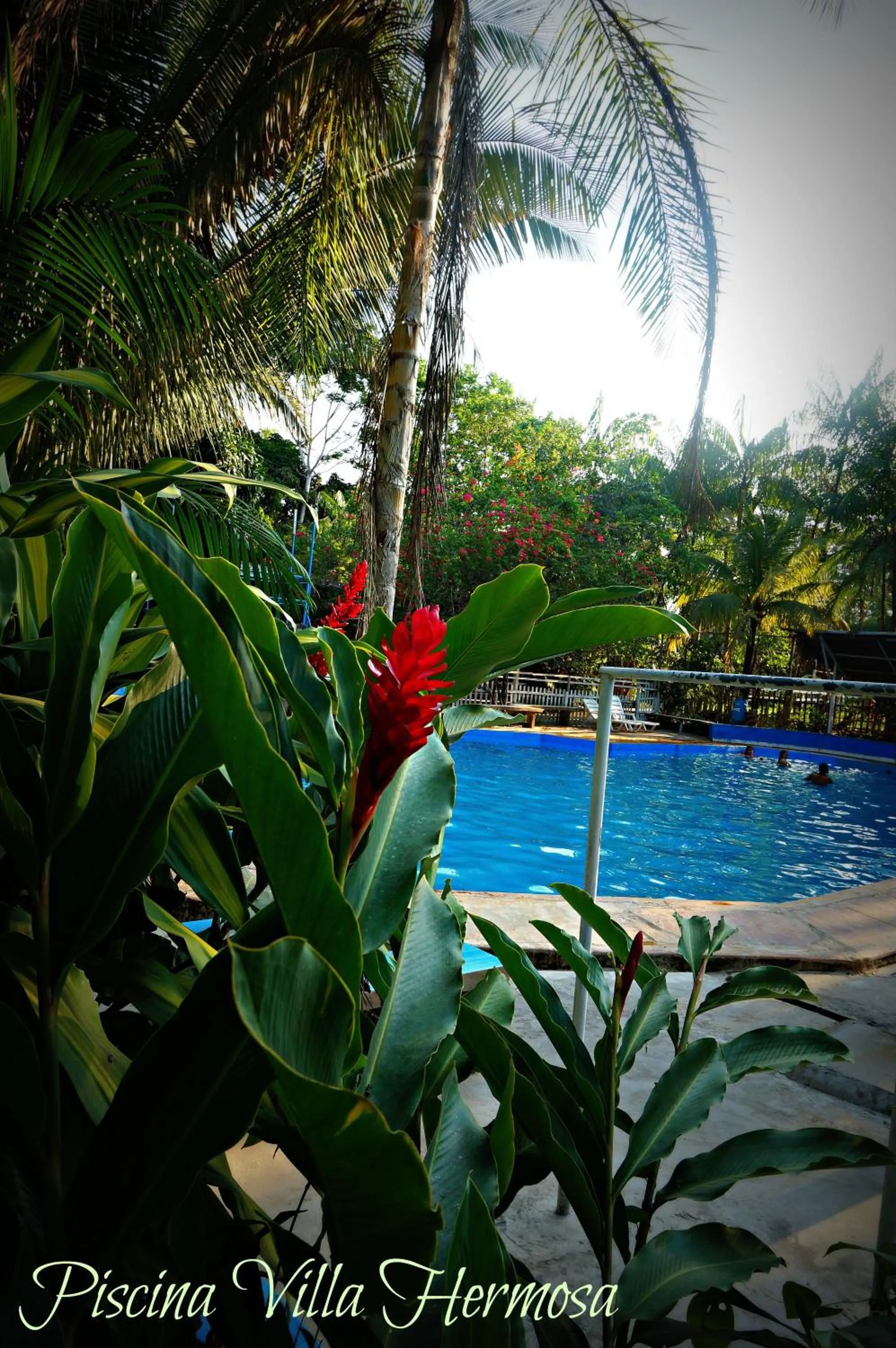 Swimming pool in Villa Hermosa de Tambopata Casa Hospedaje & Hostel