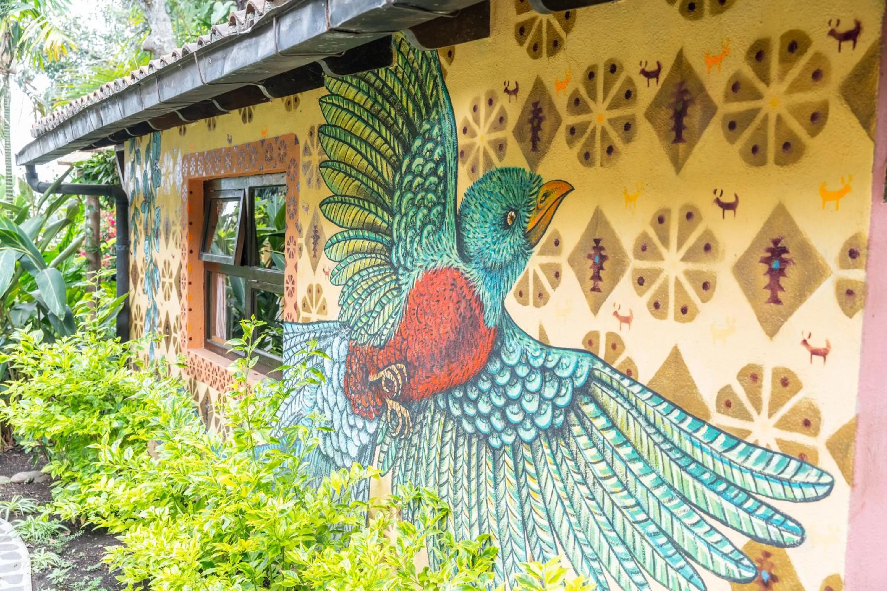 Property building in La Iguana Perdida