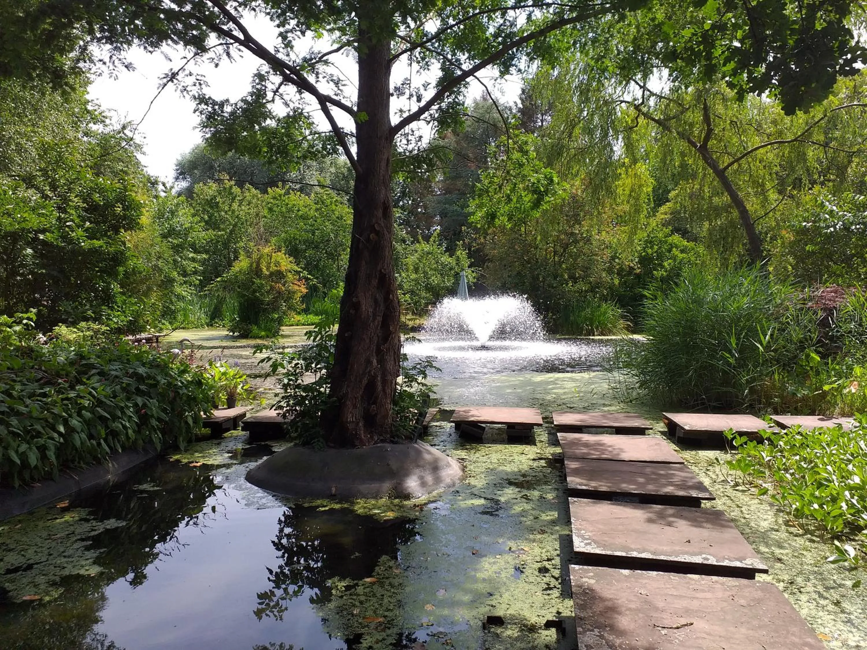Garden in De Geheime Tuin - Huisje in 't Groen