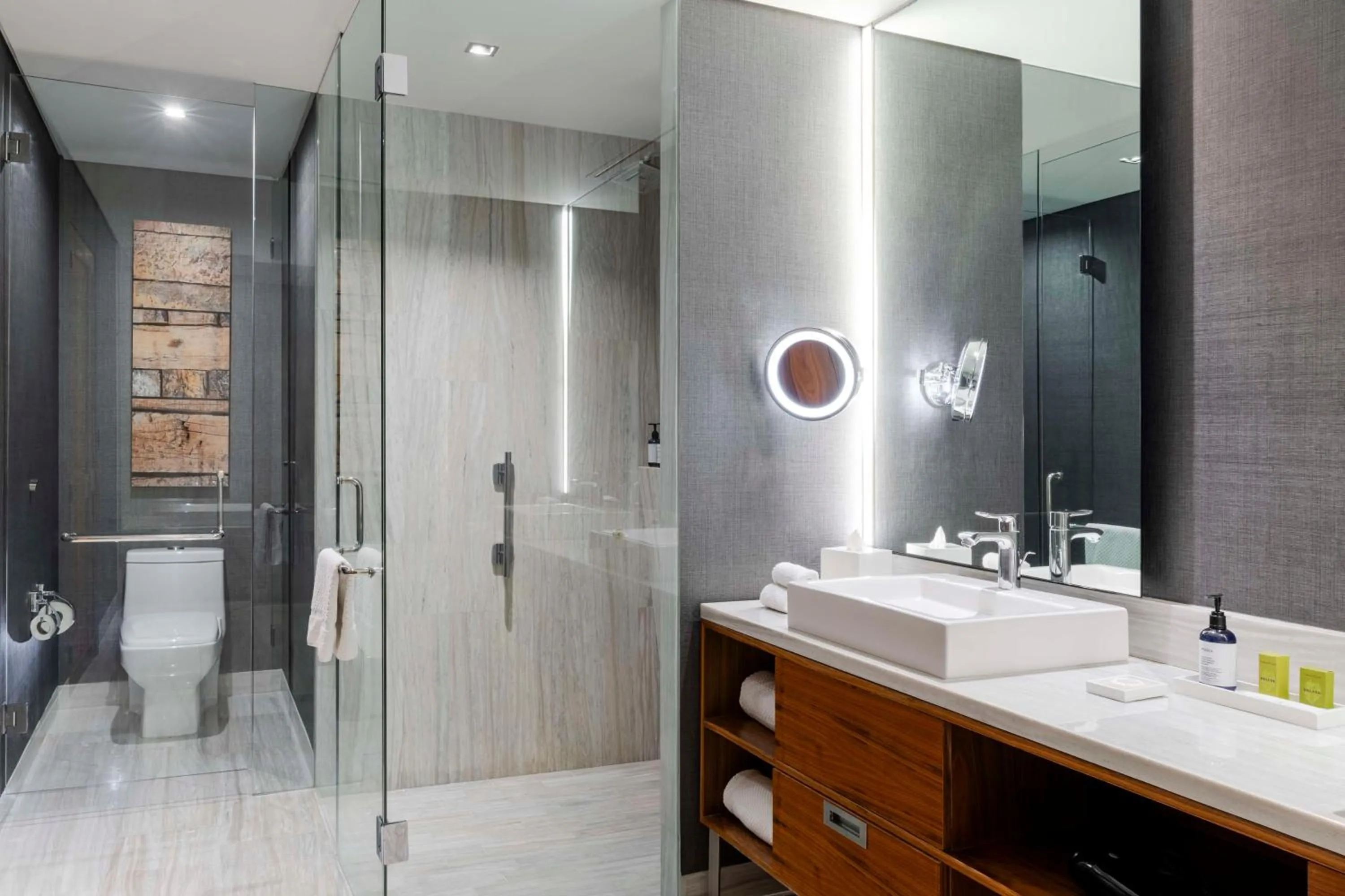 Bathroom in Hilton Mexico City Santa Fe