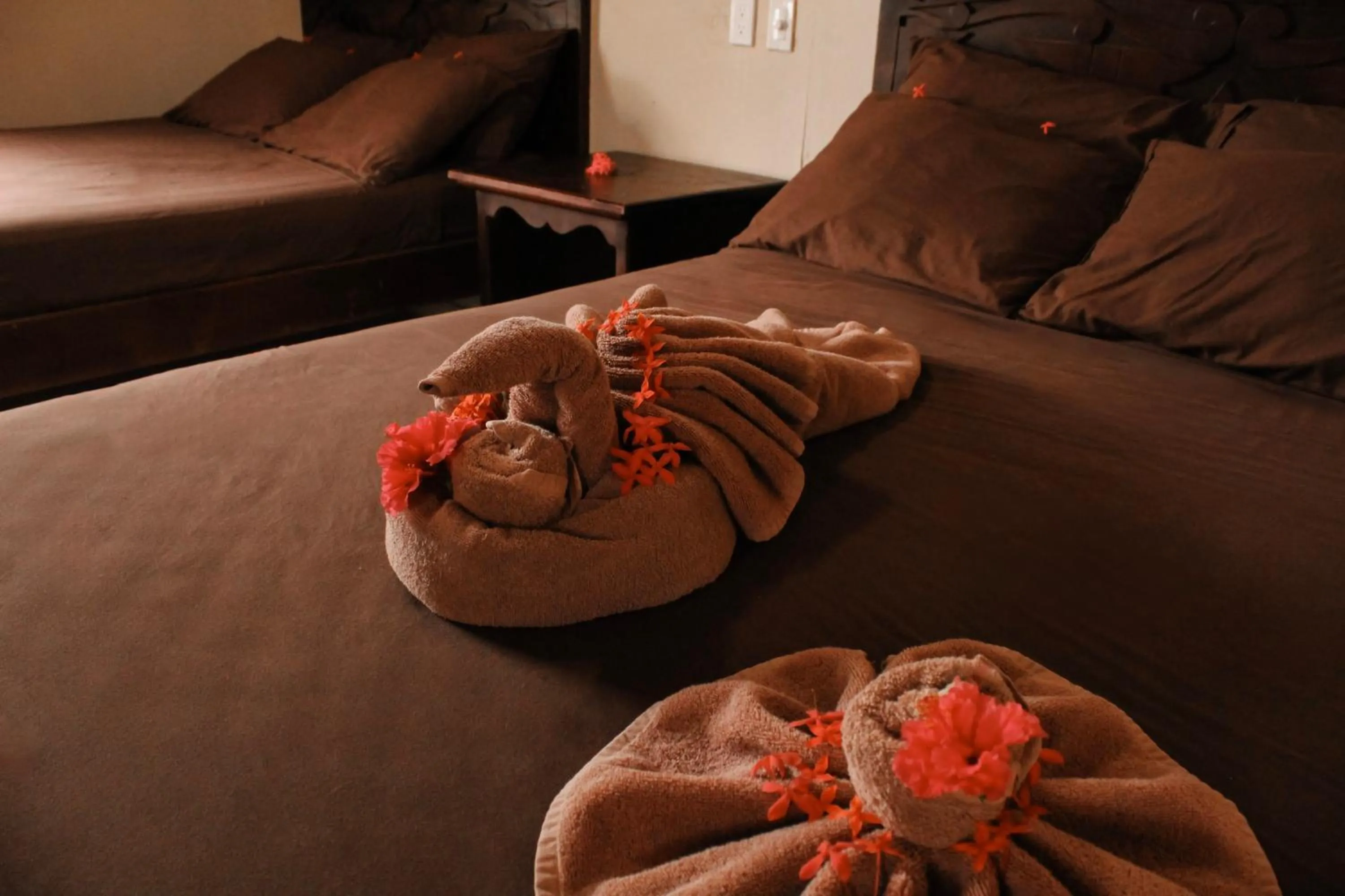 Bed in Tropical Paradise