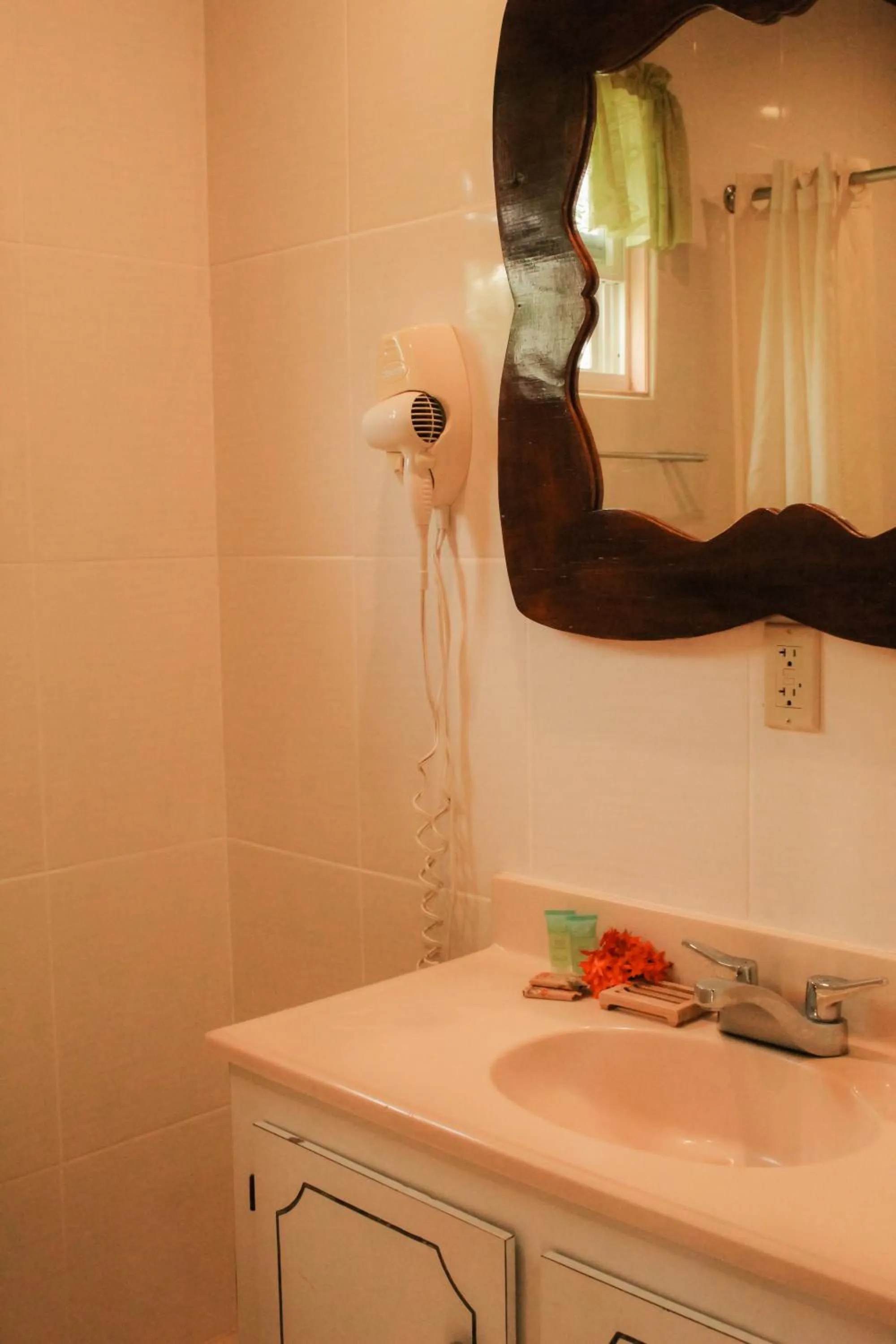 Bathroom in Tropical Paradise