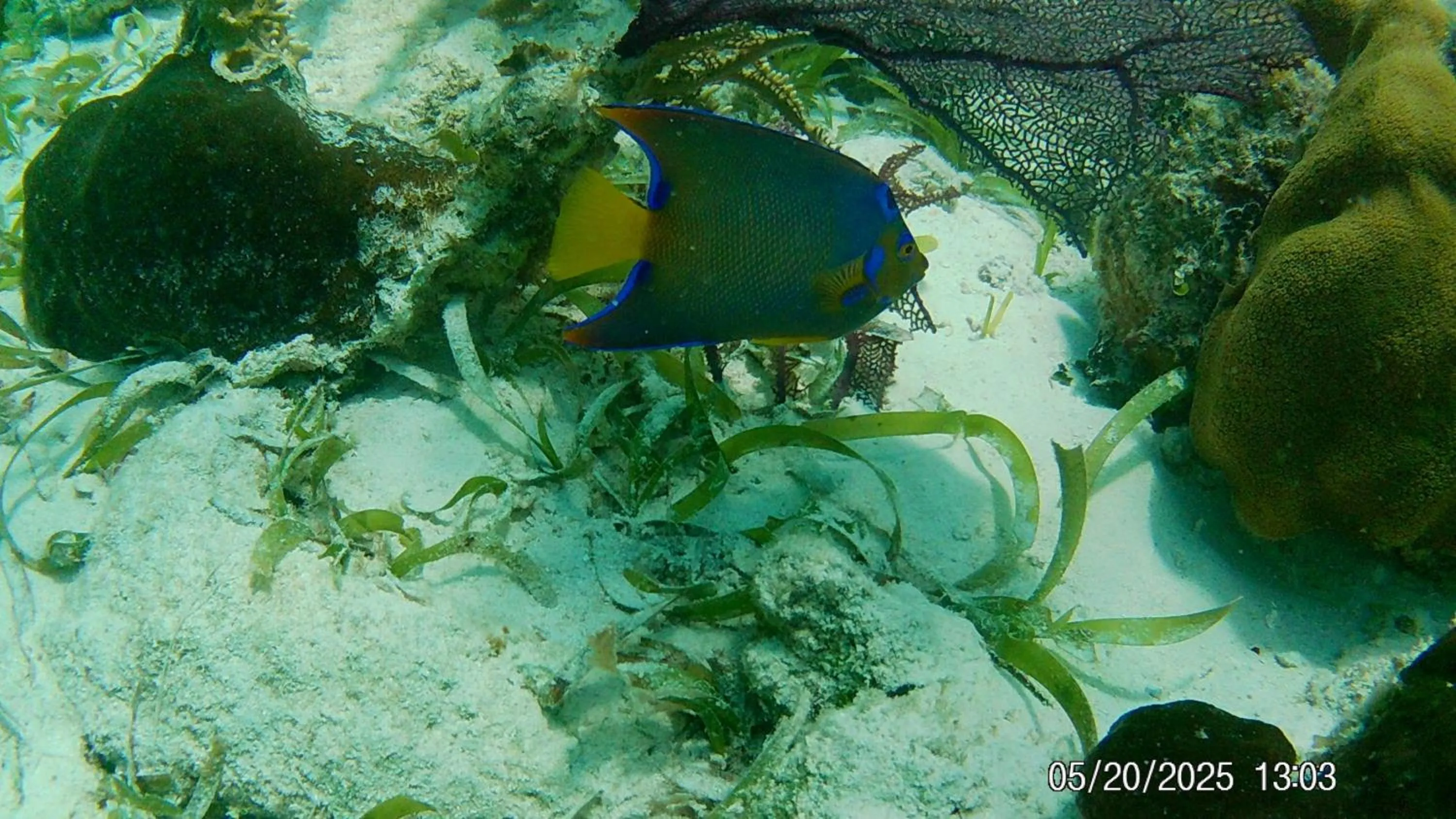 Activities in Tropical Paradise