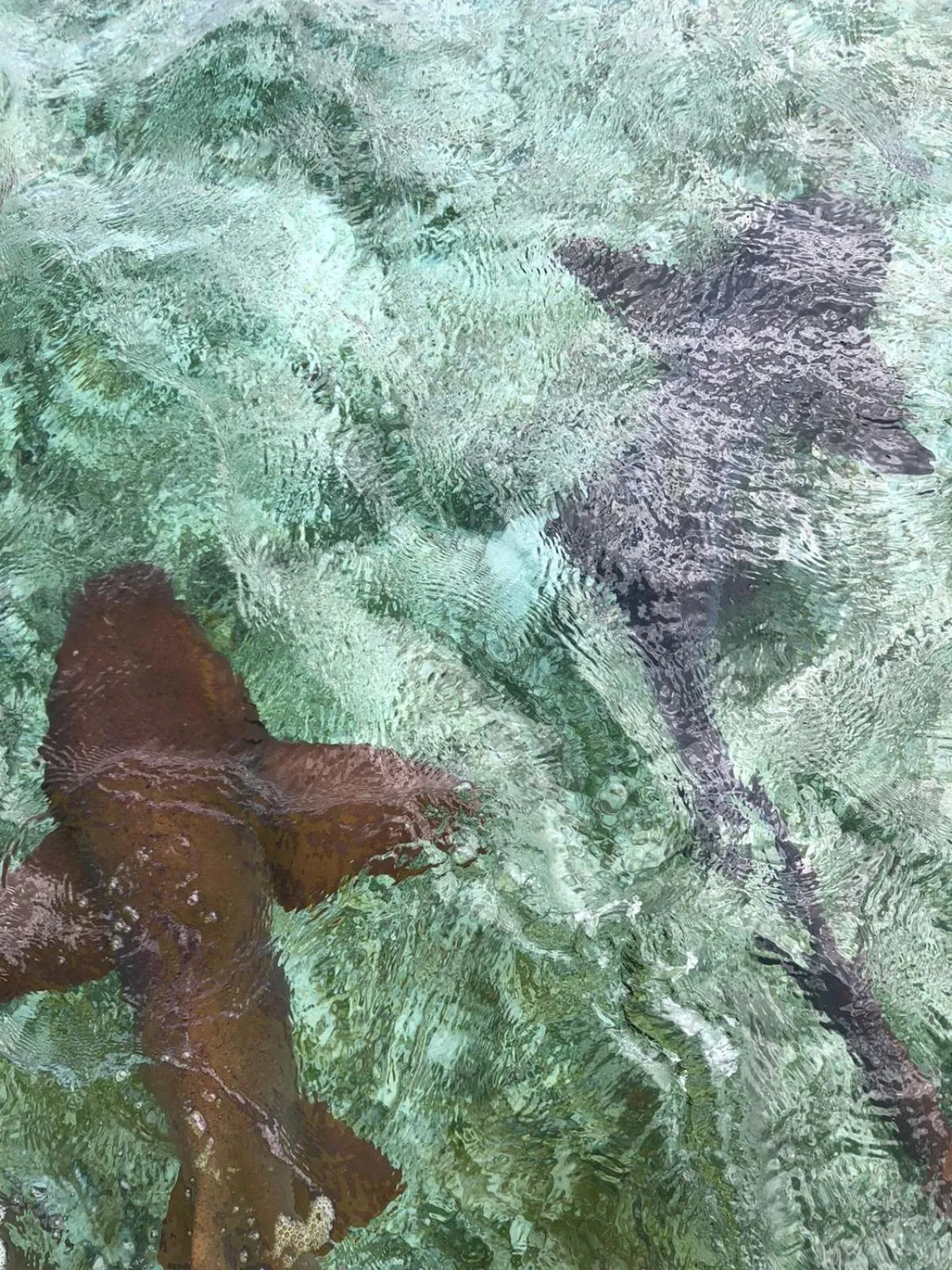 Activities in Tropical Paradise