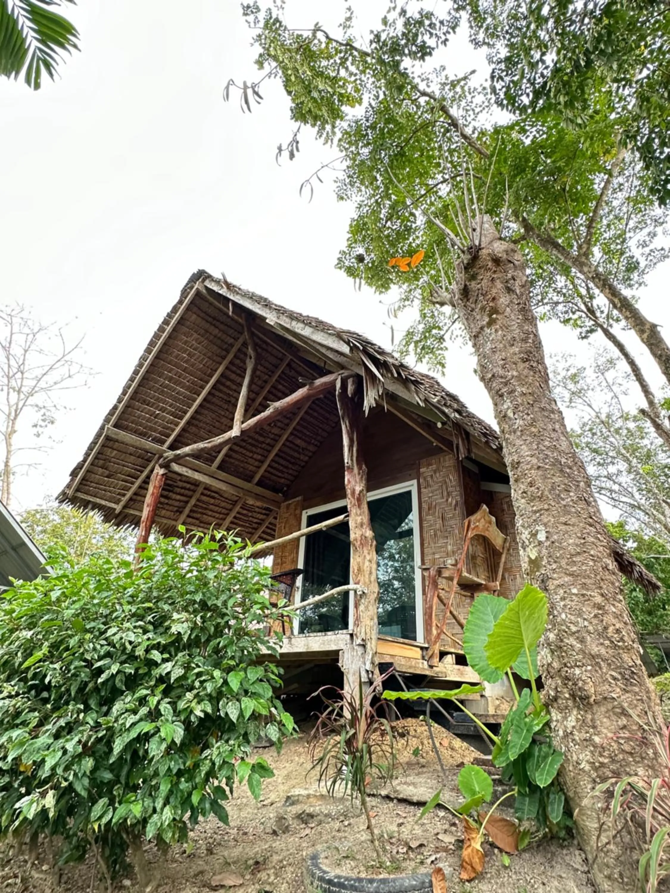 Koh Mook Mountain view