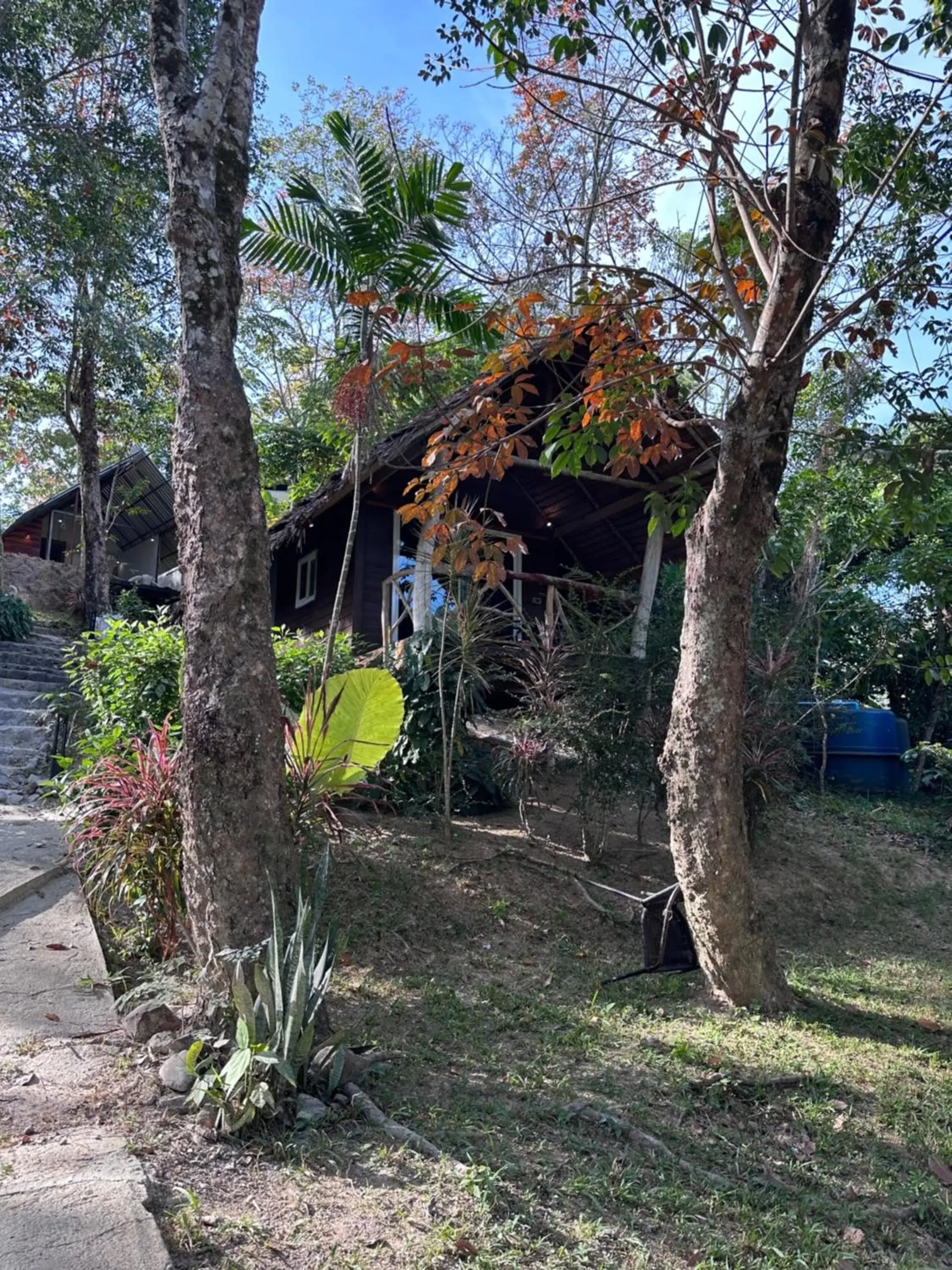 Double Room with Terrace in Koh Mook Mountain view Double Room with Terrace in Koh Mook Mountain view