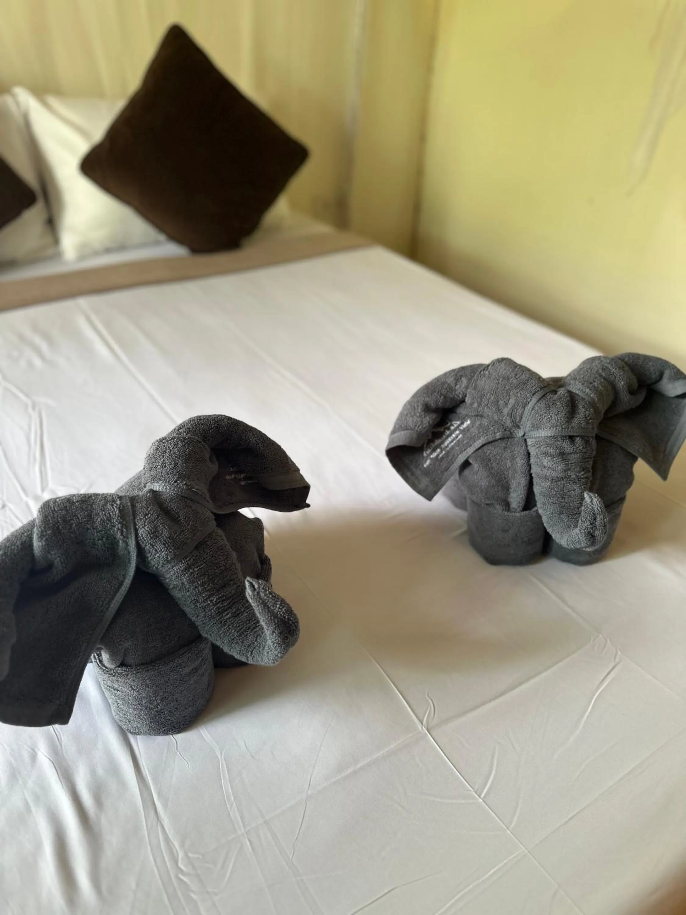 Bed in Koh Mook Mountain view