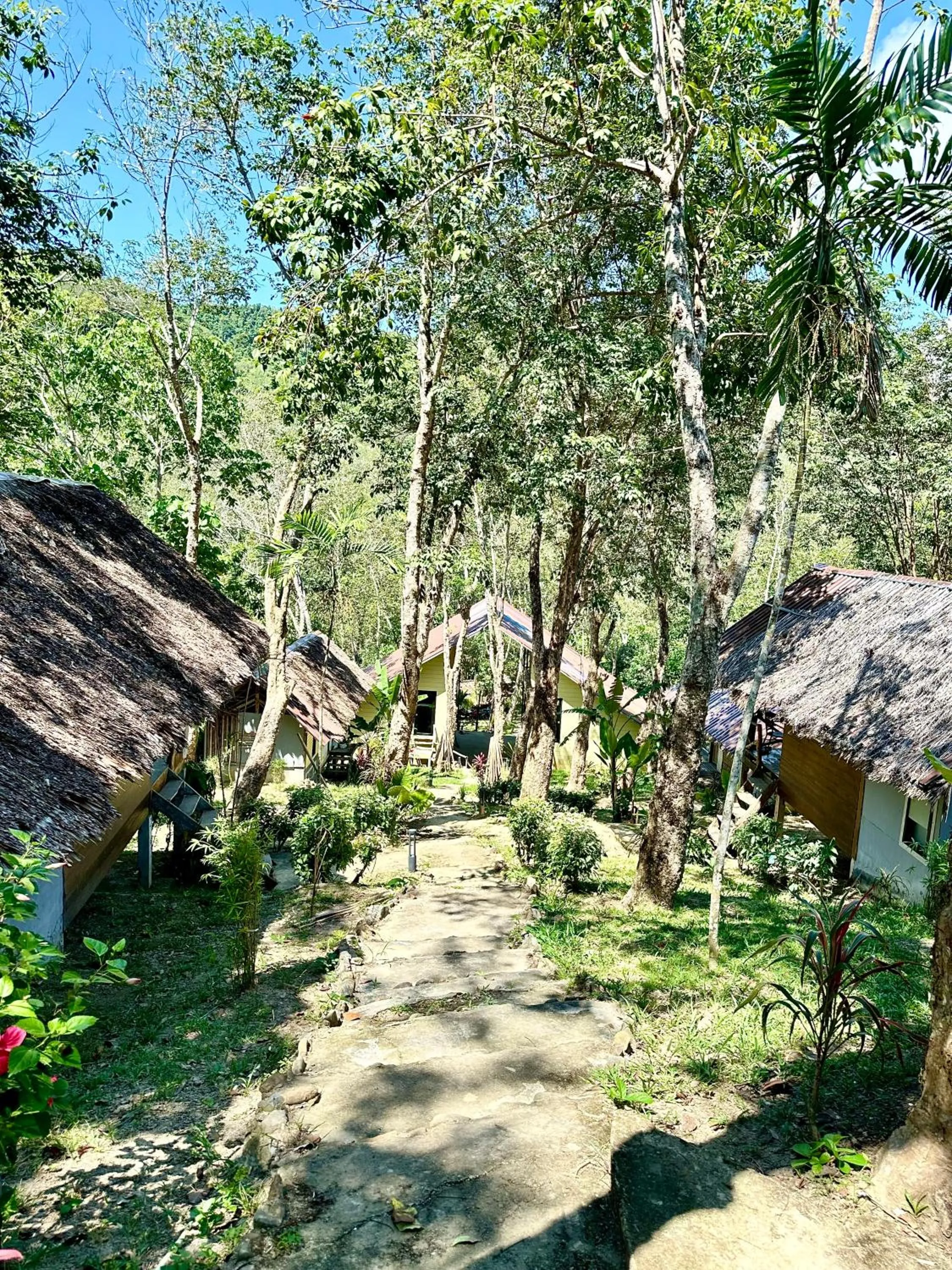 Koh Mook Mountain view