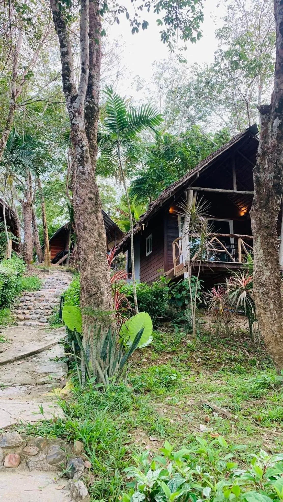 Koh Mook Mountain view