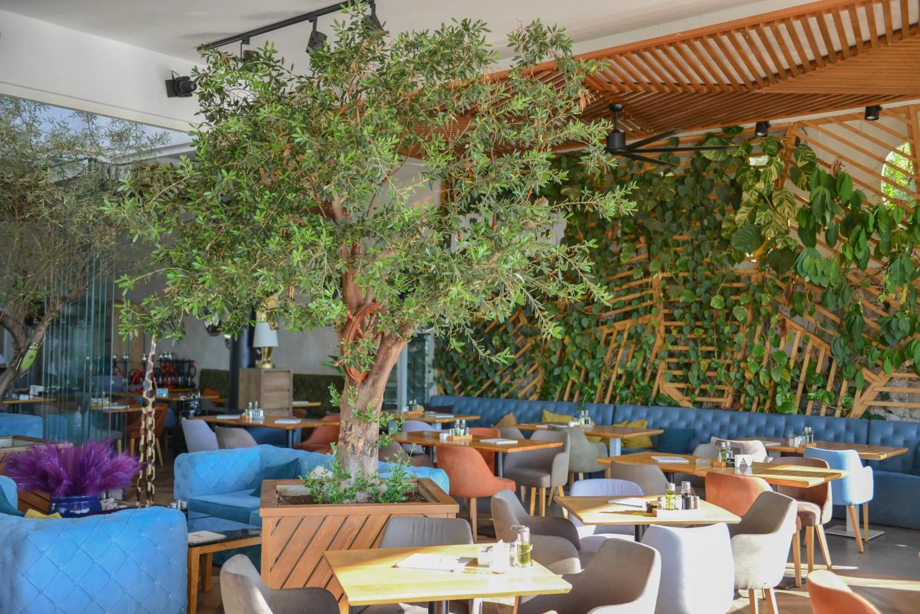 Restaurant/places to eat in Hotel Riva