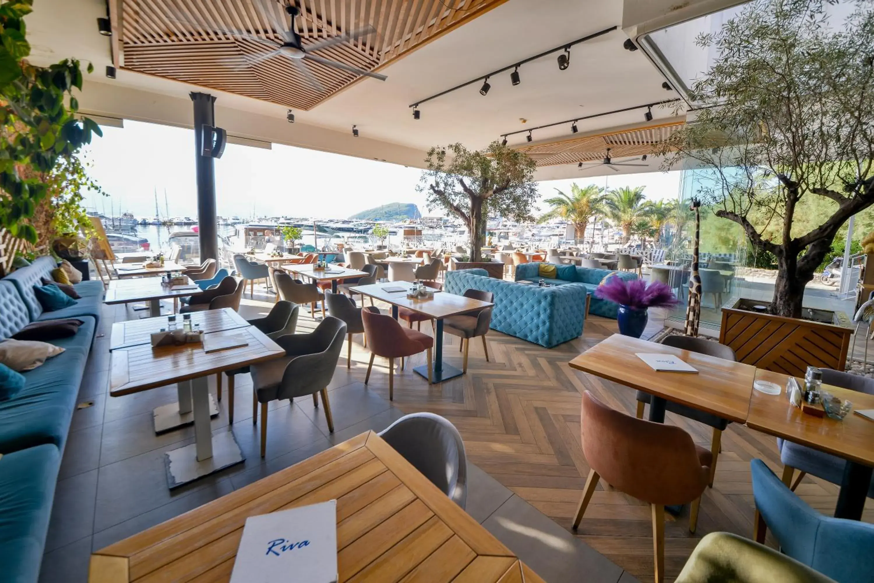 Restaurant/places to eat in Hotel Riva Restaurant/places to eat in Hotel Riva