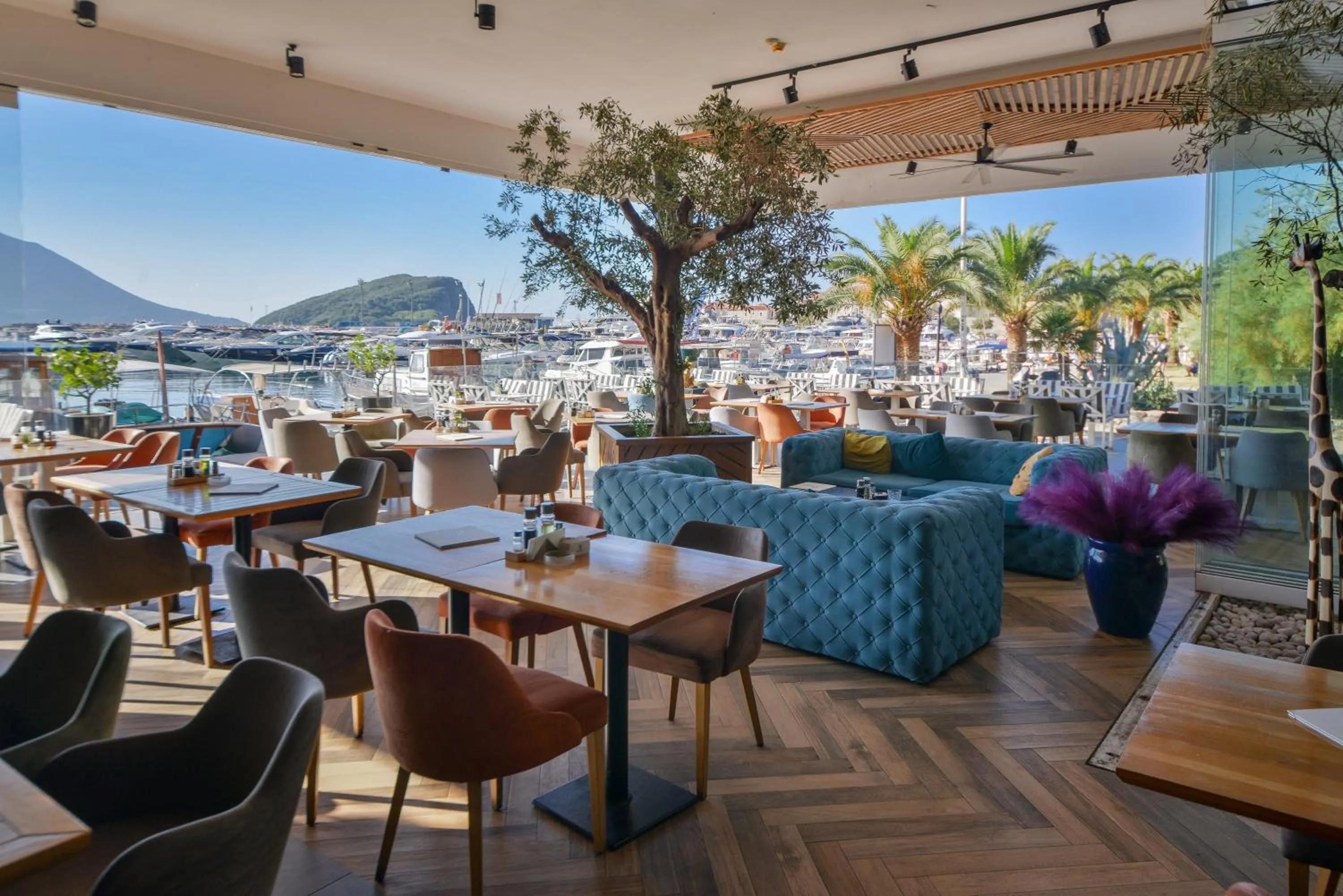 Restaurant/places to eat in Hotel Riva