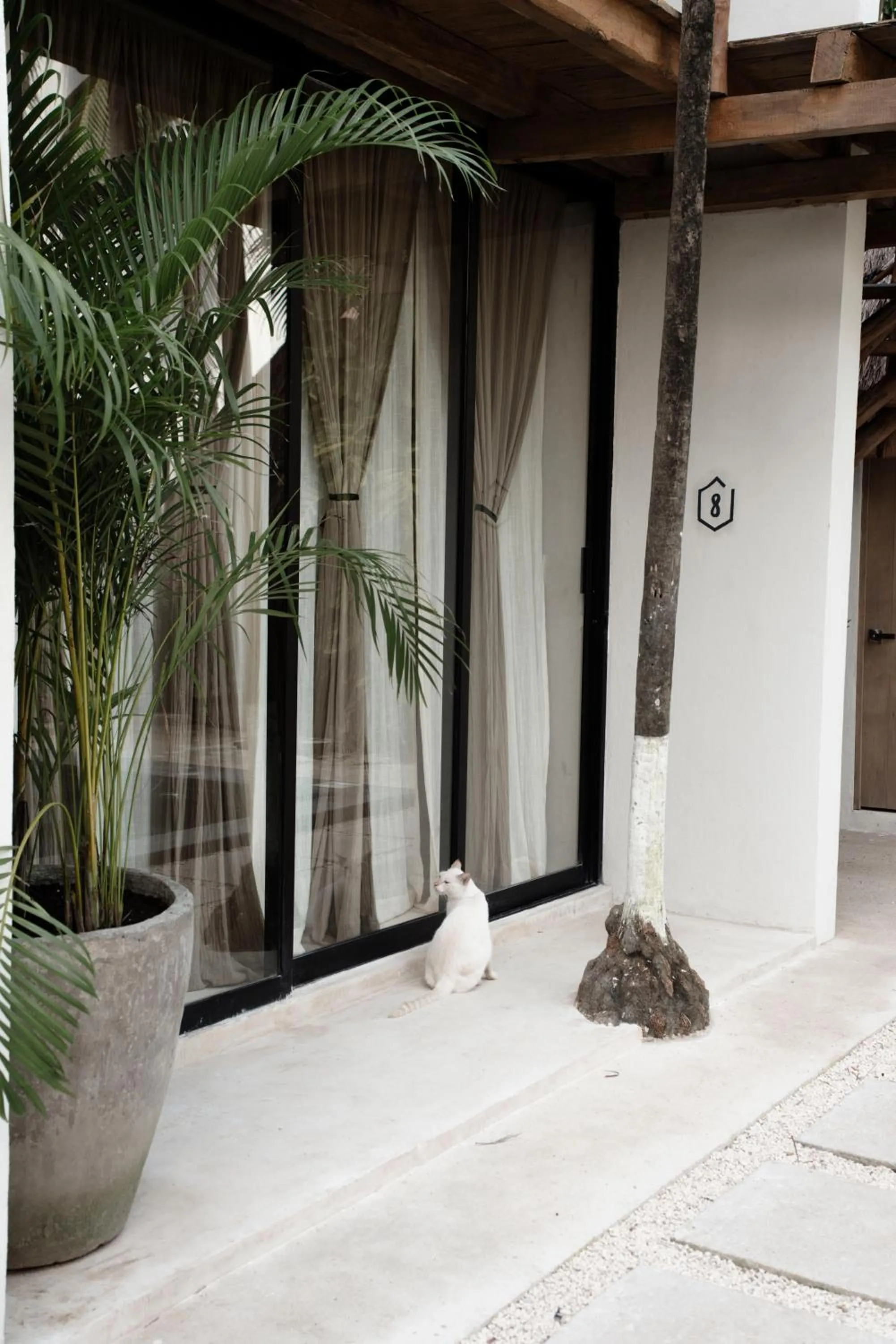 Balcony/Terrace in Tuup Tulum