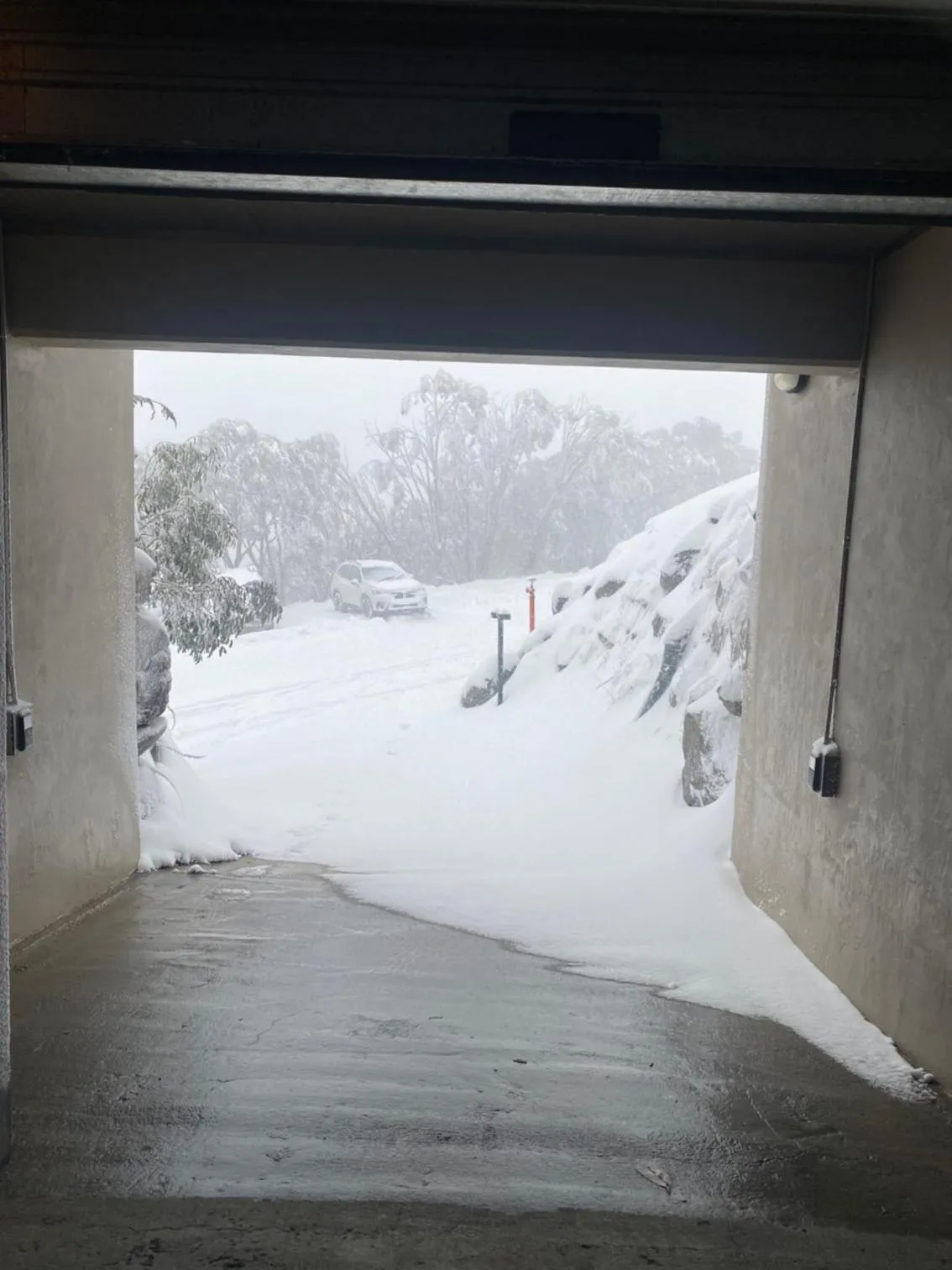 Parking in Alpine Woodsmoke Apartments