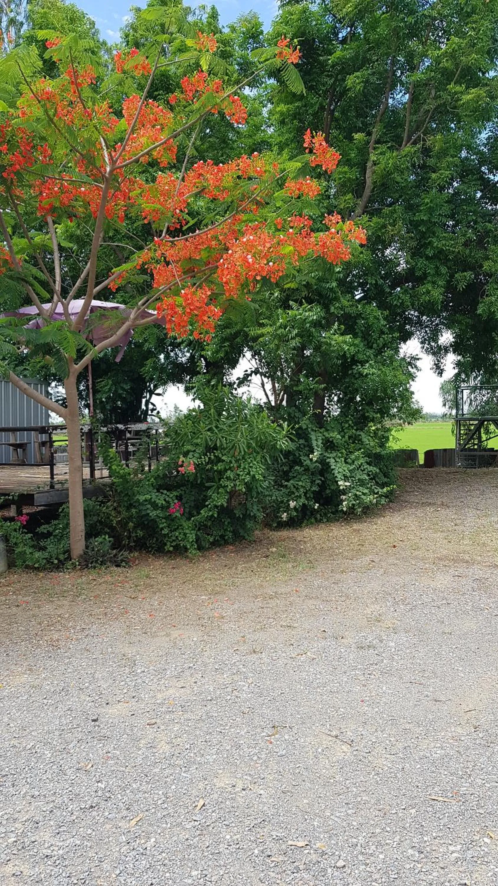 ที รีสอร์ท T Resort Suphanburi