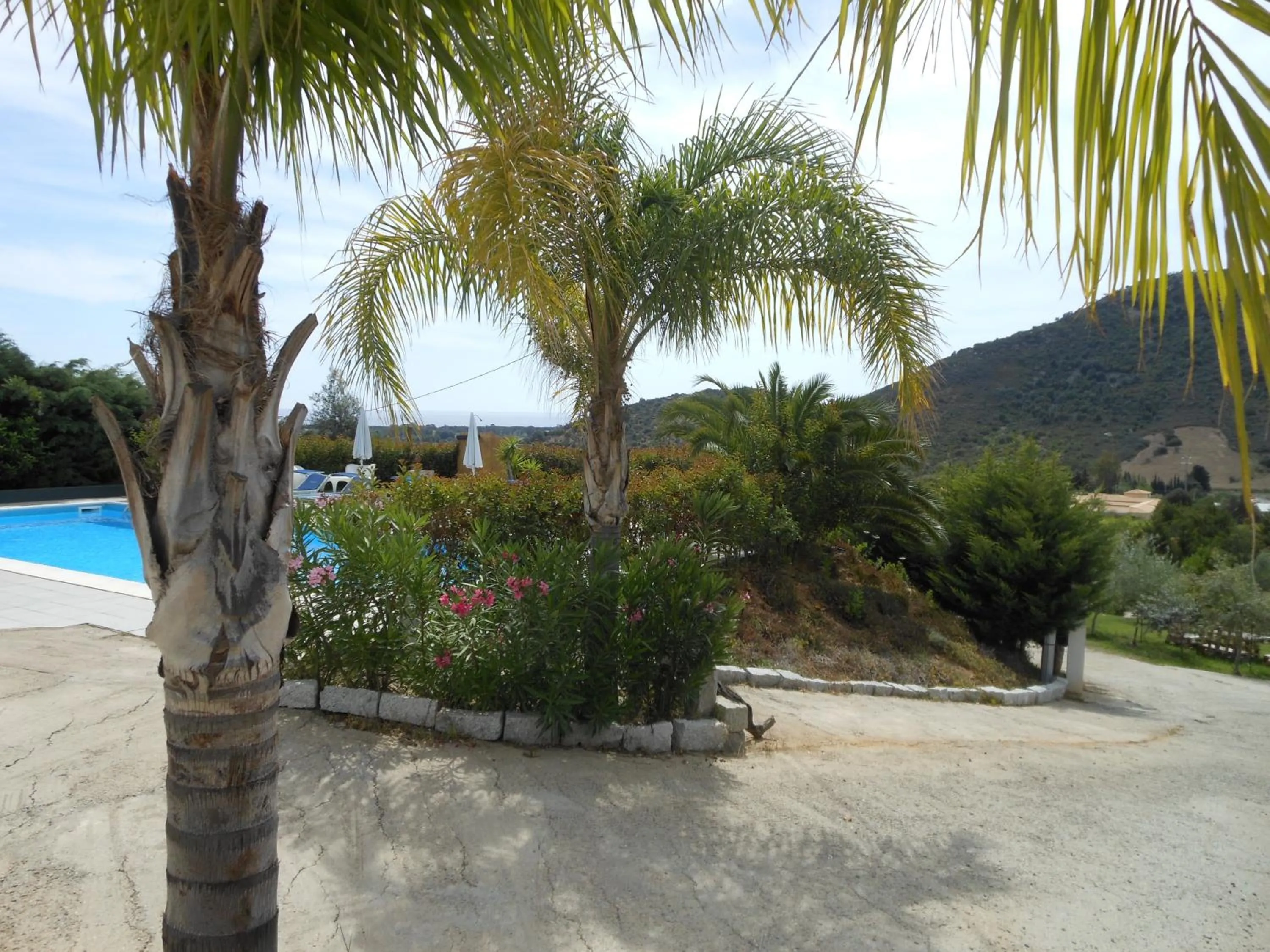 View (from property/room) in Natur Hotel Tanca