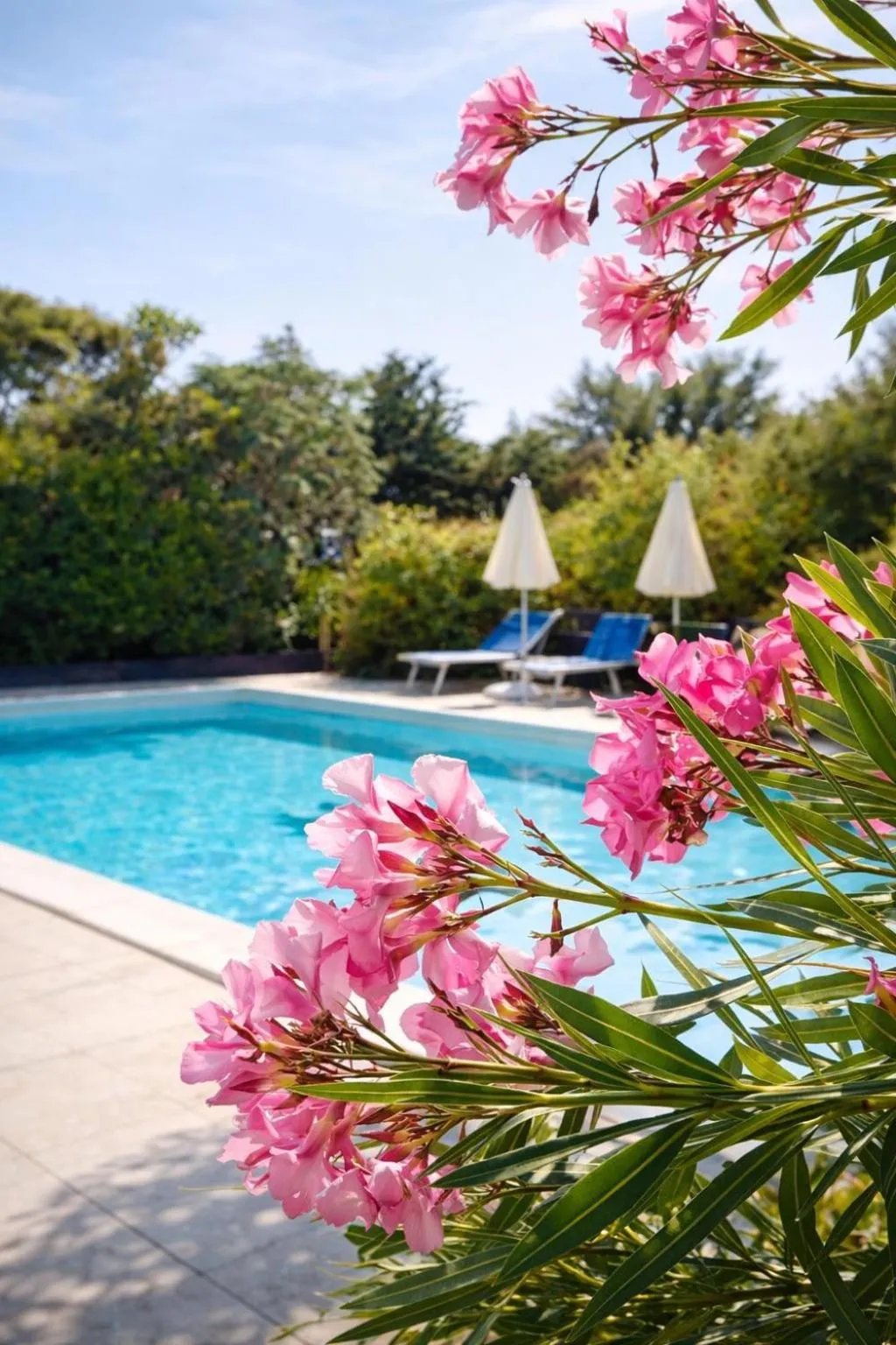 Swimming pool in Natur Hotel Tanca