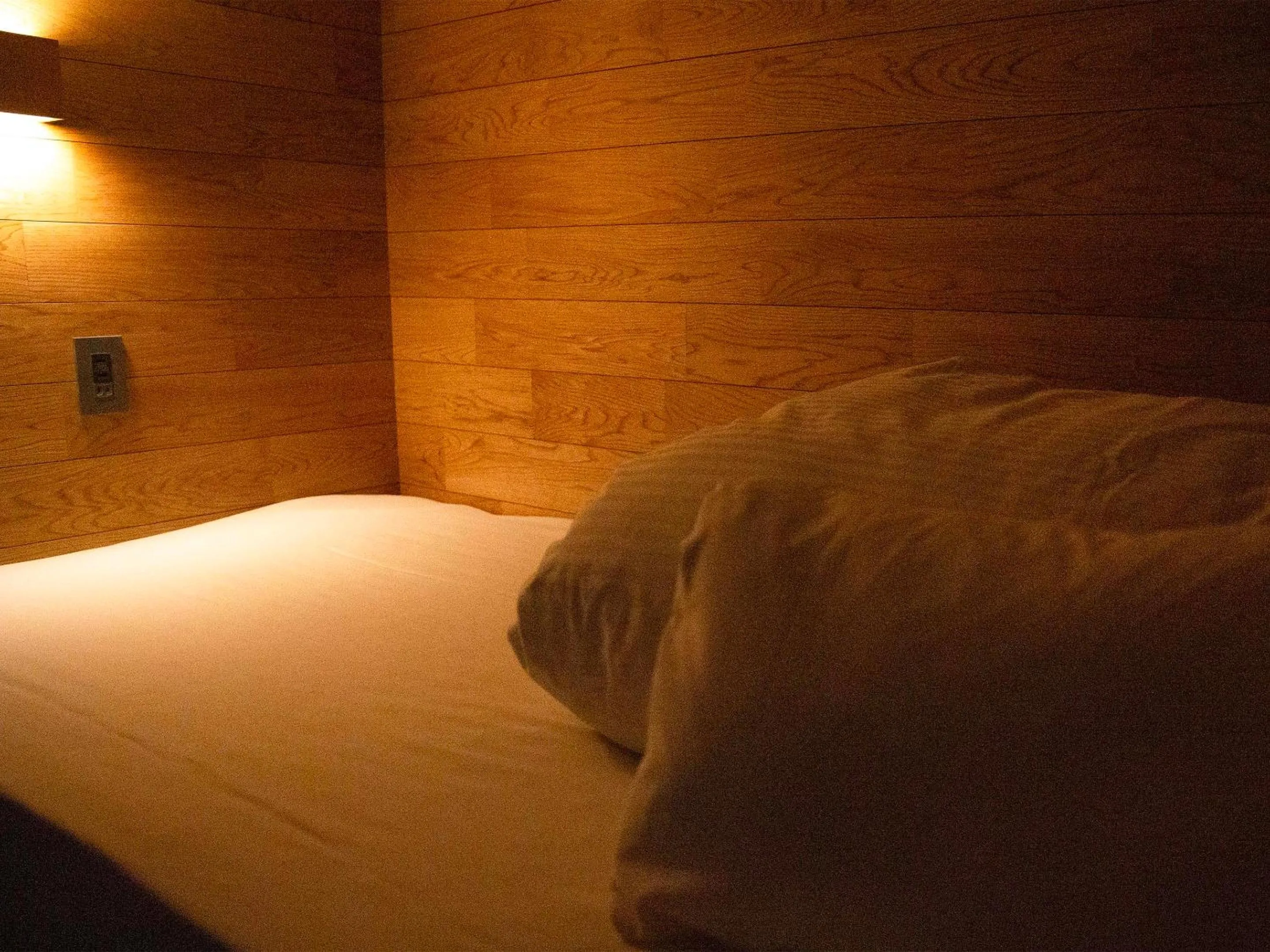 Photo of the whole room, Bed in the circle apartment