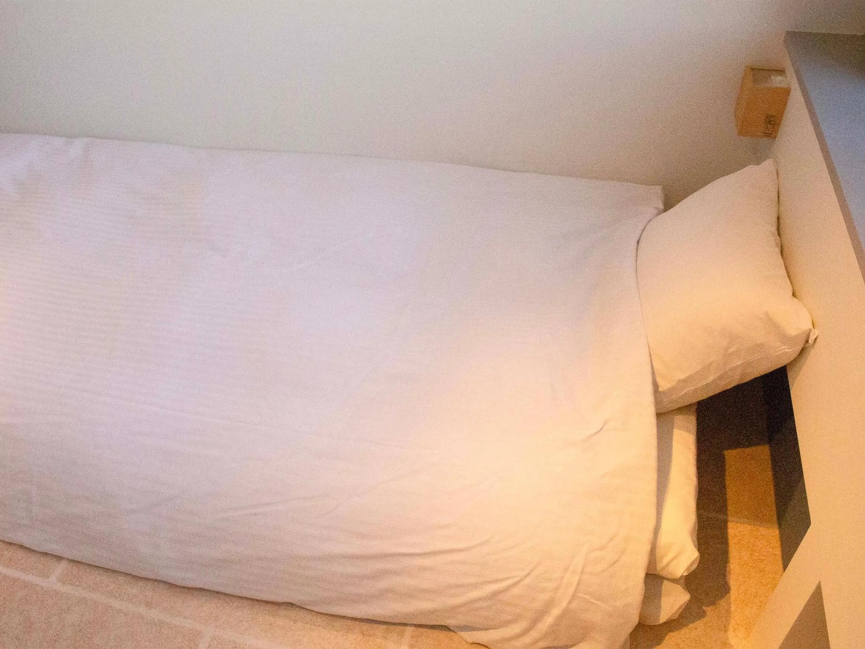 Bed in the circle apartment