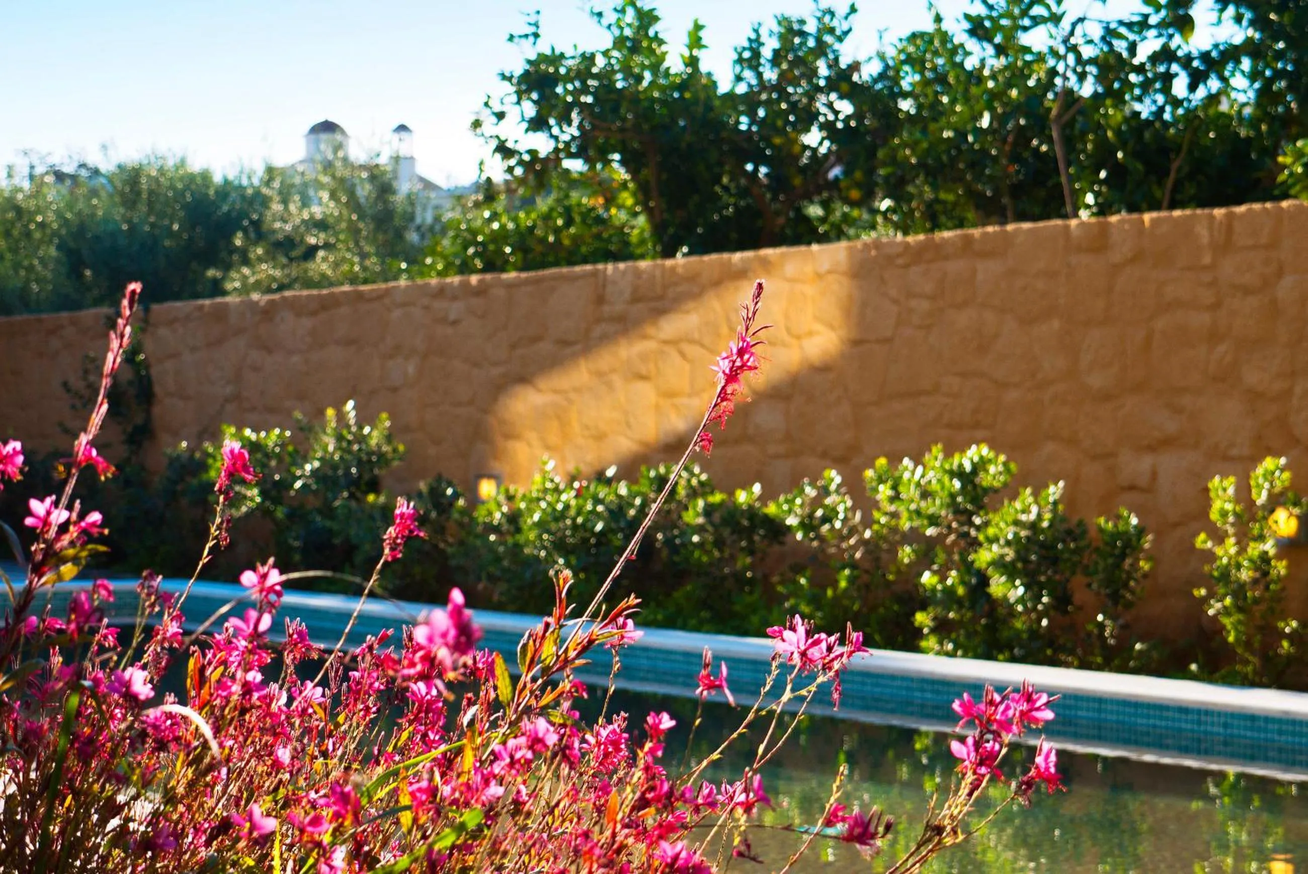 View (from property/room) in Conte Marino Villas